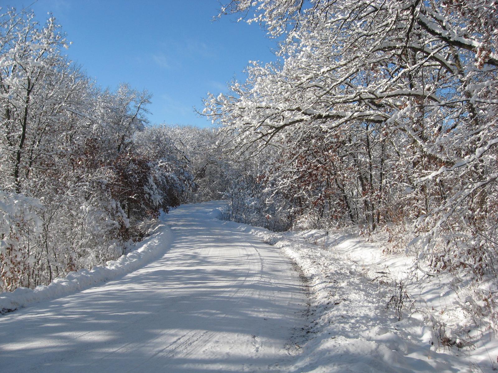 View of Land at 15XXX Pilar Road, Scandia MN 55073, Scandia (13 of 13) - Mike Wilen | Minnesota Team Real Estate