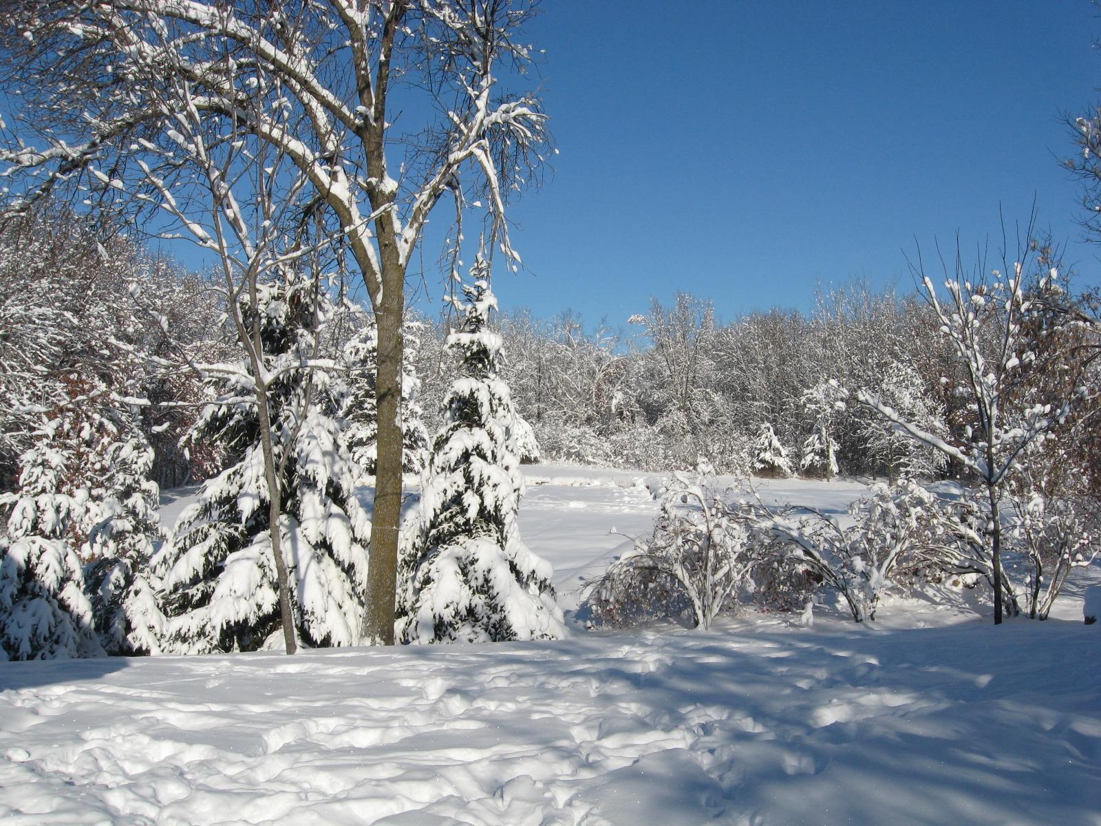 View of Land at 15XXX Pilar Road, Scandia MN 55073, Scandia (12 of 13) - Mike Wilen | Minnesota Team Real Estate