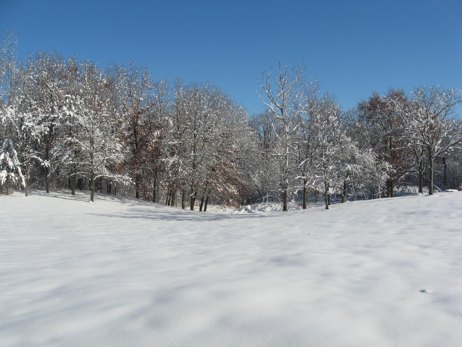 View of Land at 15XXX Pilar Road, Scandia MN 55073, Scandia (11 of 13) - Mike Wilen | Minnesota Team Real Estate
