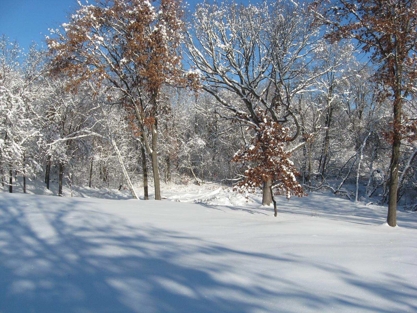 View of Land at 15XXX Pilar Road, Scandia MN 55073, Scandia (10 of 13) - Mike Wilen | Minnesota Team Real Estate