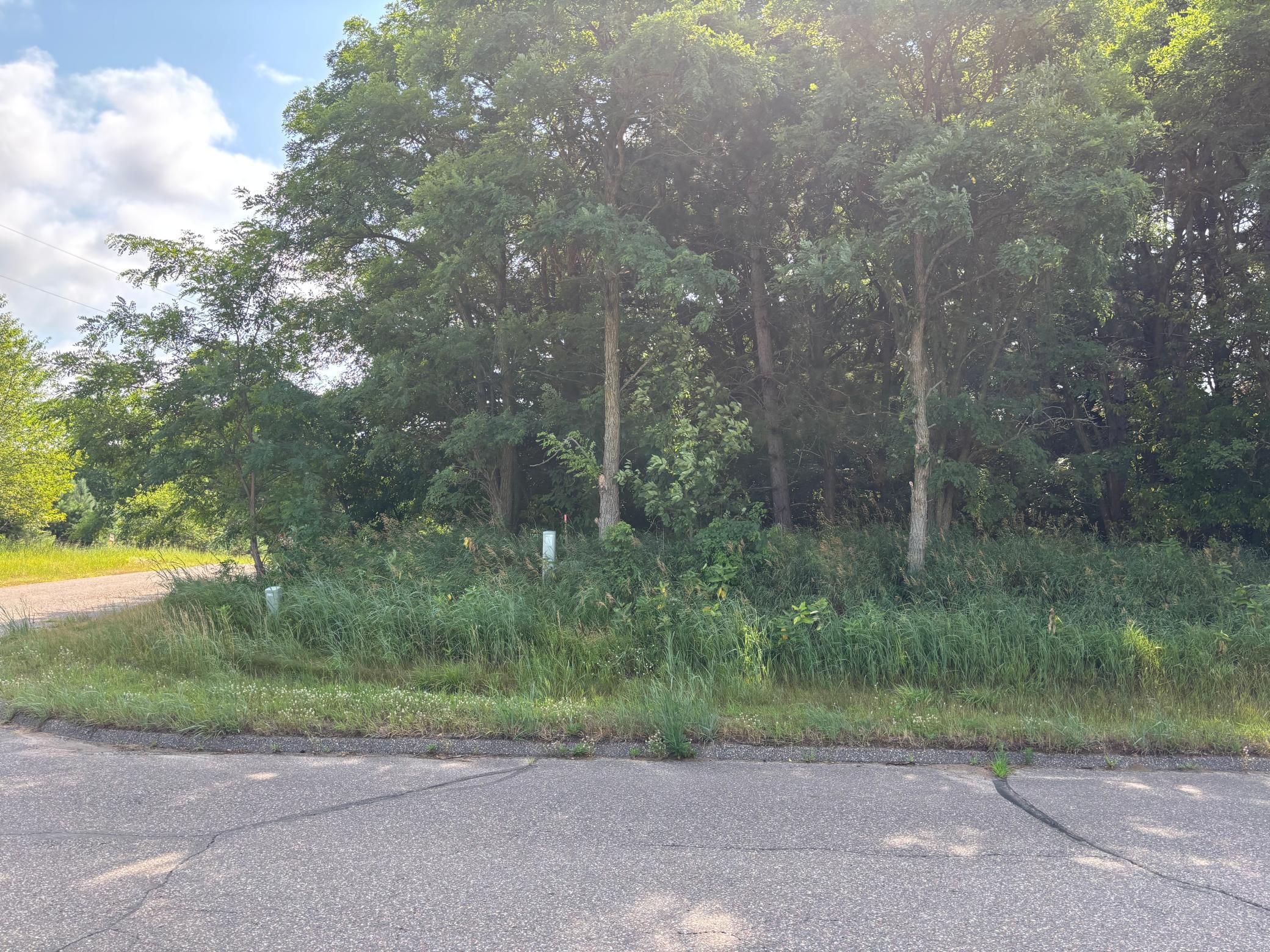 View of Land at TBD 227th Lane, East Bethel MN 55005, East Bethel (3 of 6) - Mike Wilen | Minnesota Team Real Estate