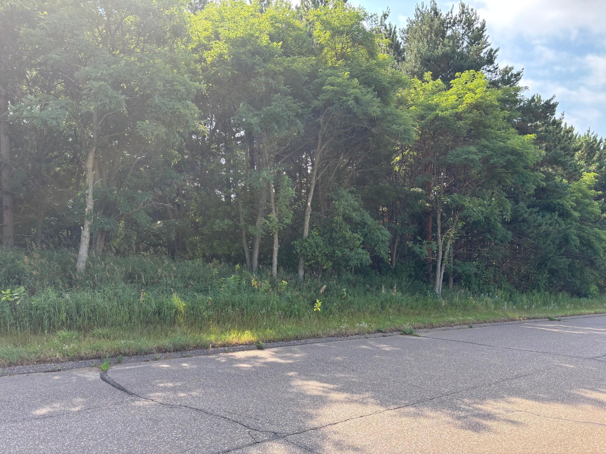 View of Land at TBD 227th Lane, East Bethel MN 55005, East Bethel (4 of 6) - Mike Wilen | Minnesota Team Real Estate