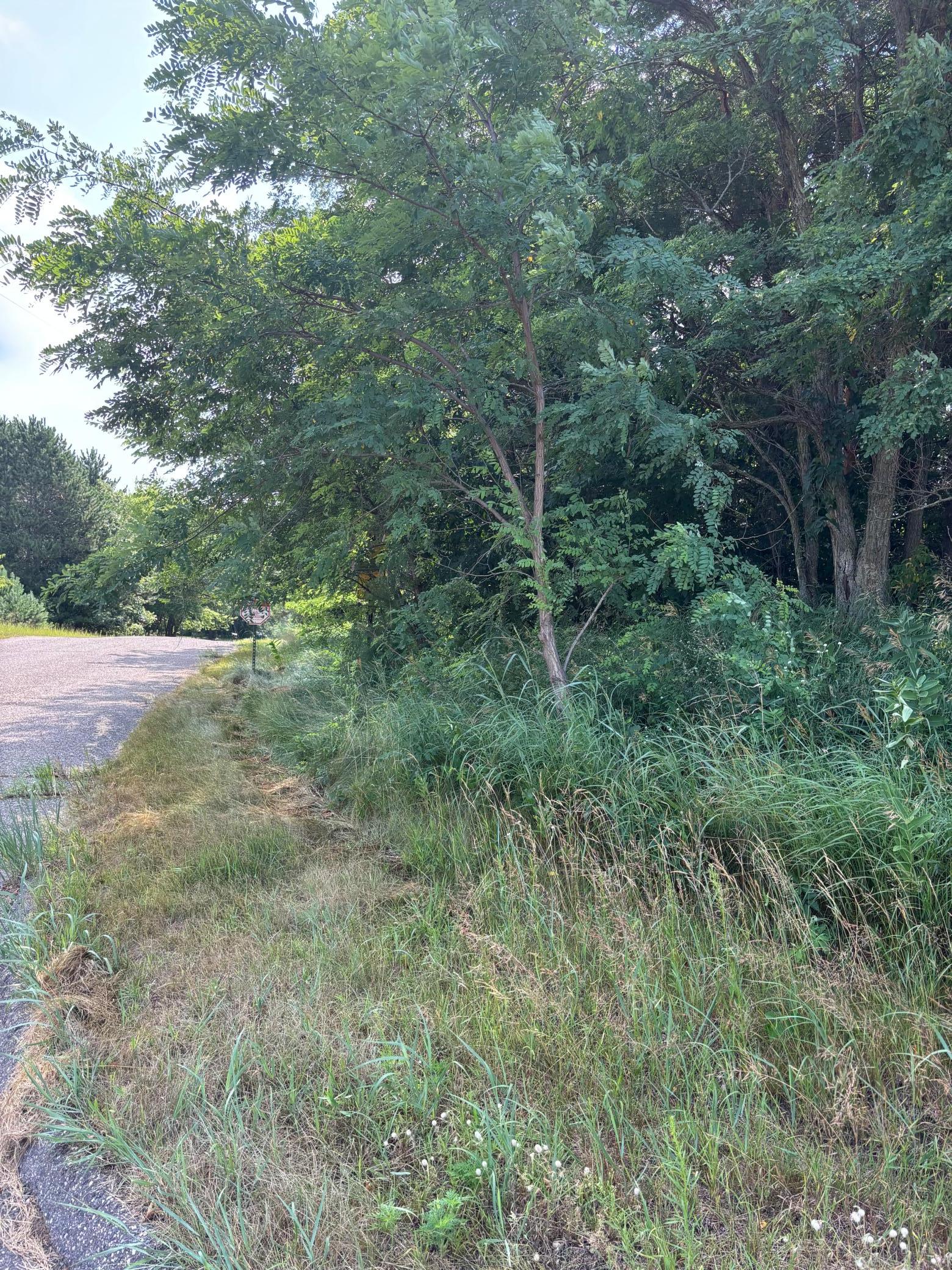View of Land at TBD 227th Lane, East Bethel MN 55005, East Bethel (5 of 6) - Mike Wilen | Minnesota Team Real Estate
