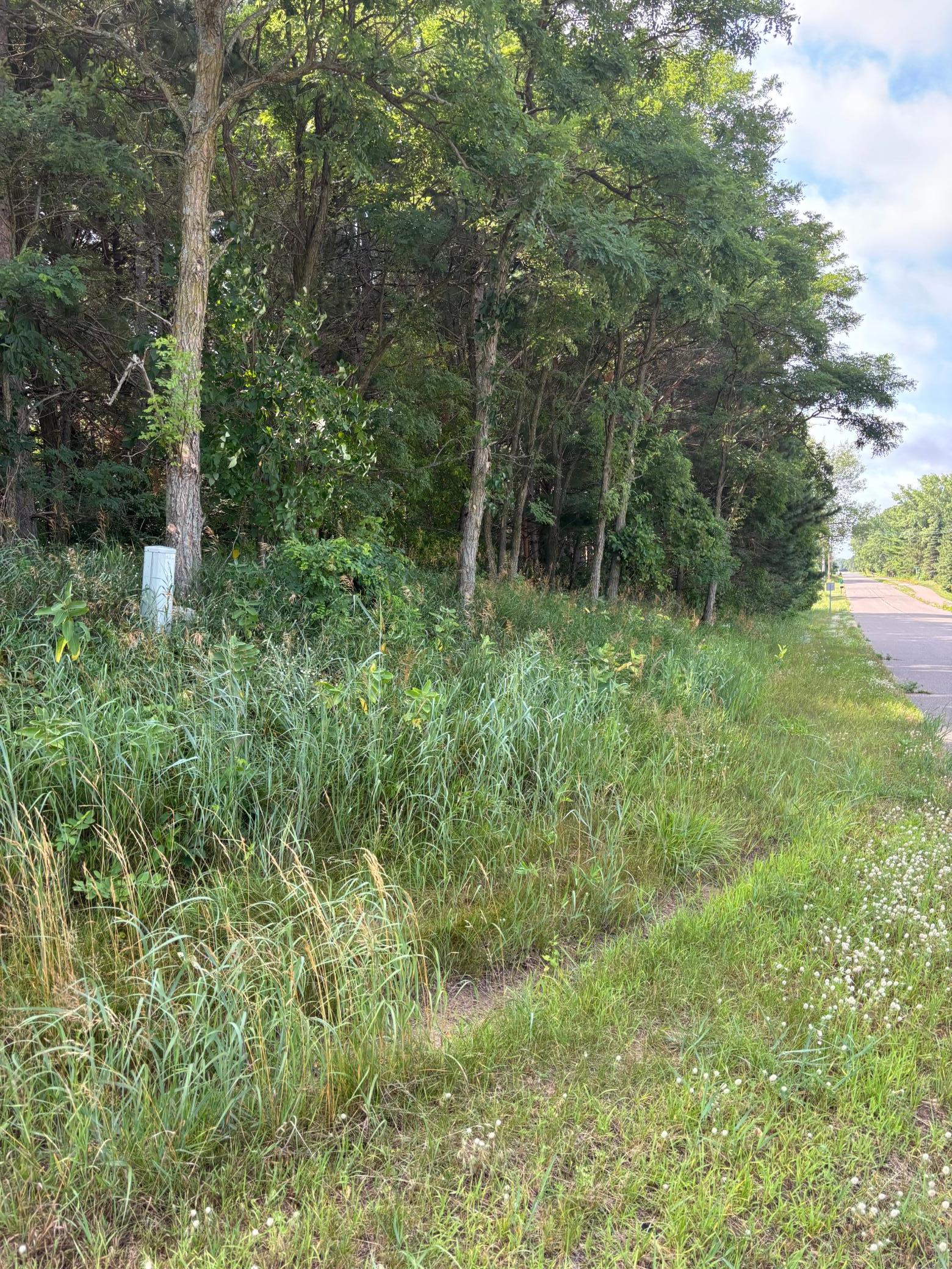 View of Land at TBD 227th Lane, East Bethel MN 55005, East Bethel (6 of 6) - Mike Wilen | Minnesota Team Real Estate