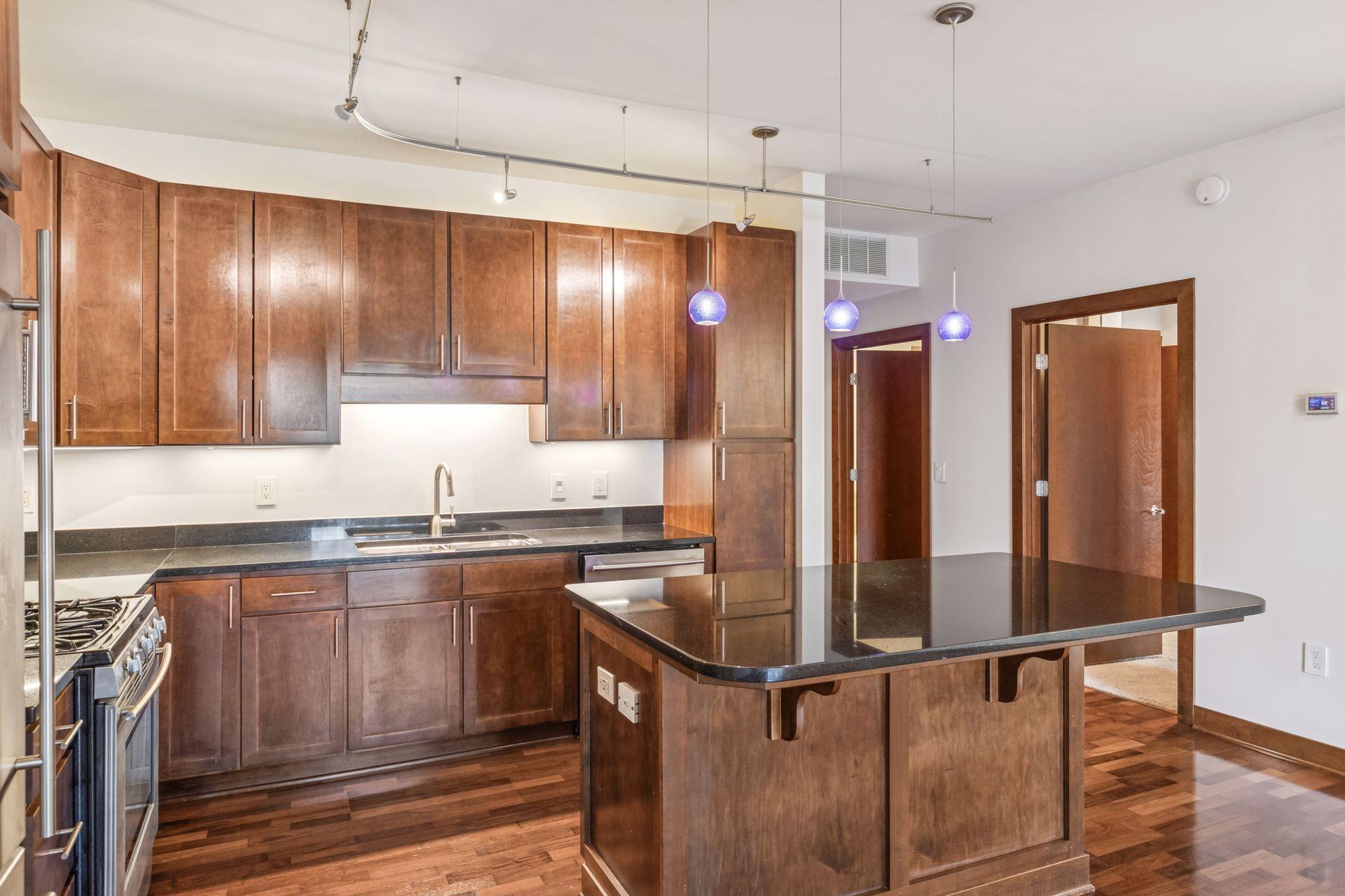 View of Residential at 317 Groveland Avenue #116, Minneapolis MN 55403, Minneapolis (14 of 43) - Mike Wilen | Minnesota Team Real Estate