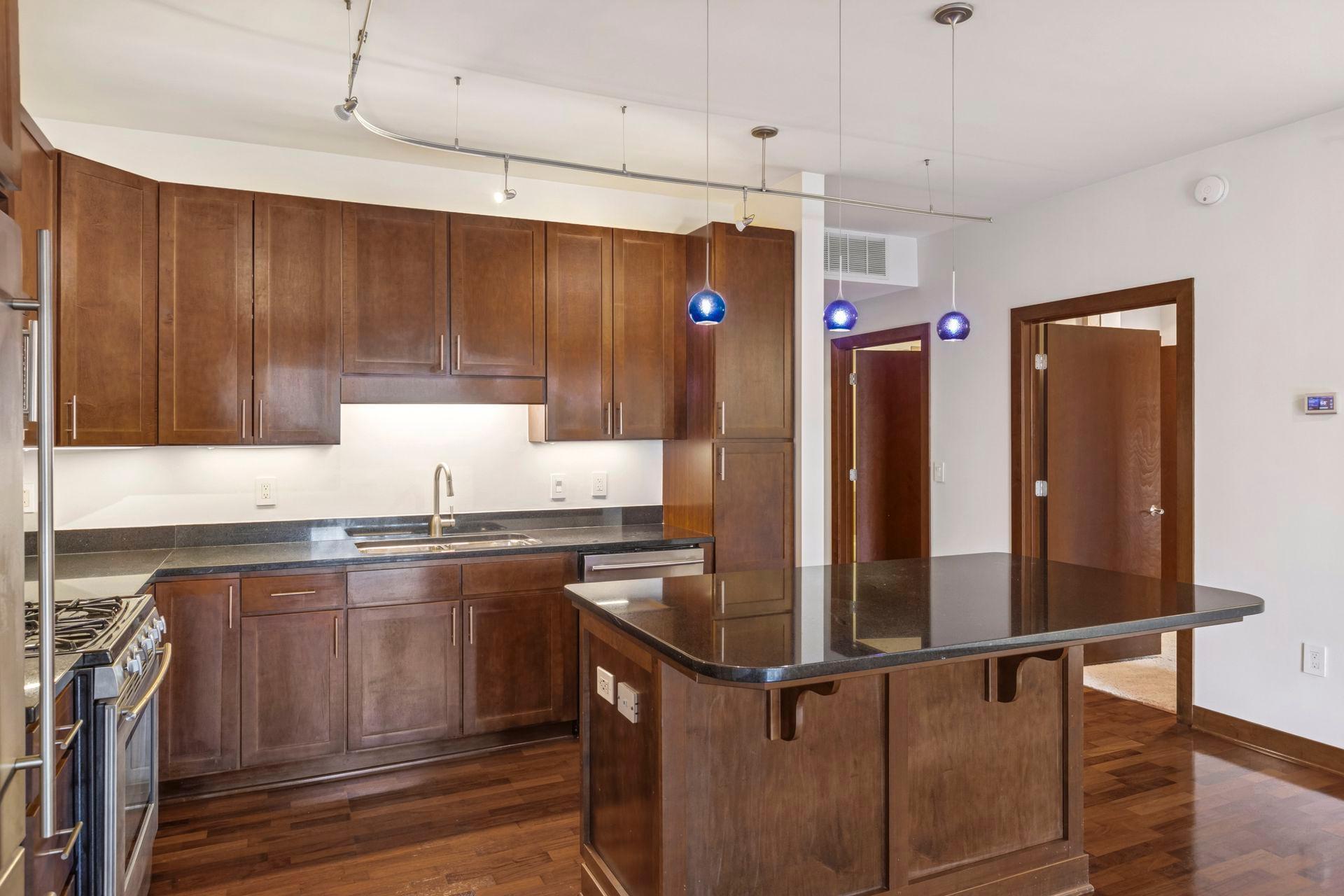 View of Residential at 317 Groveland Avenue #116, Minneapolis MN 55403, Minneapolis (13 of 43) - Mike Wilen | Minnesota Team Real Estate