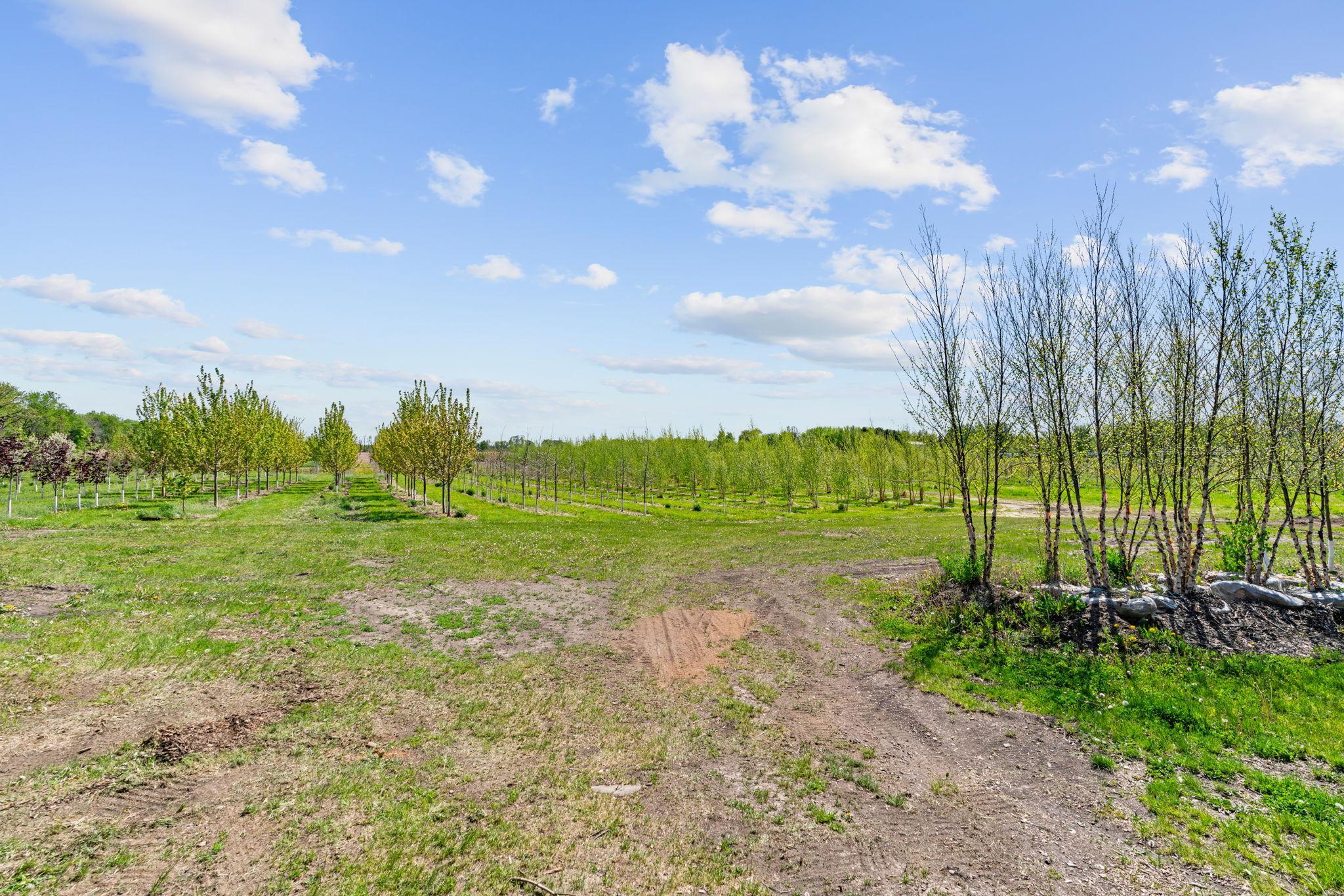 View of Residential at 22901 Oakdale Drive, Corcoran MN 55374, Corcoran (30 of 40) - Mike Wilen | Minnesota Team Real Estate