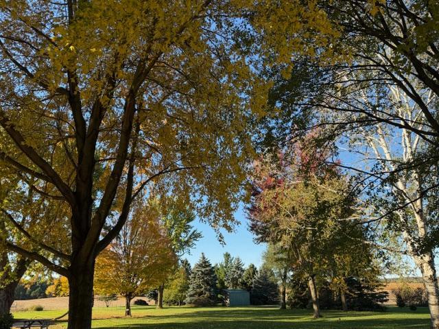 View of Residential at 4614 215th Street, Hampton MN 55031, Hampton (89 of 90) - Mike Wilen | Minnesota Team Real Estate