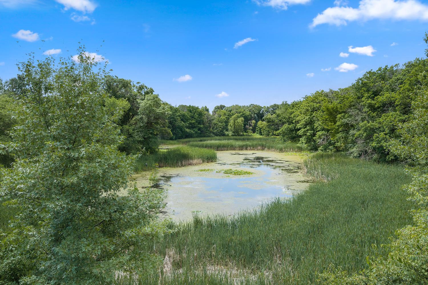 View of Residential at 9570 Norway Hills Trail, Lakeville MN 55044, Lakeville (48 of 59) - Mike Wilen | Minnesota Team Real Estate