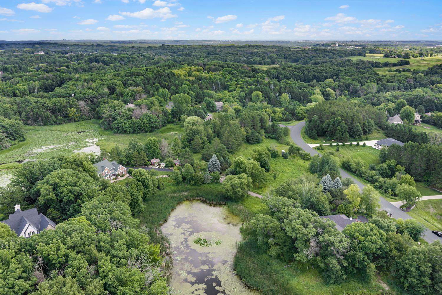 View of Residential at 9570 Norway Hills Trail, Lakeville MN 55044, Lakeville (57 of 59) - Mike Wilen | Minnesota Team Real Estate