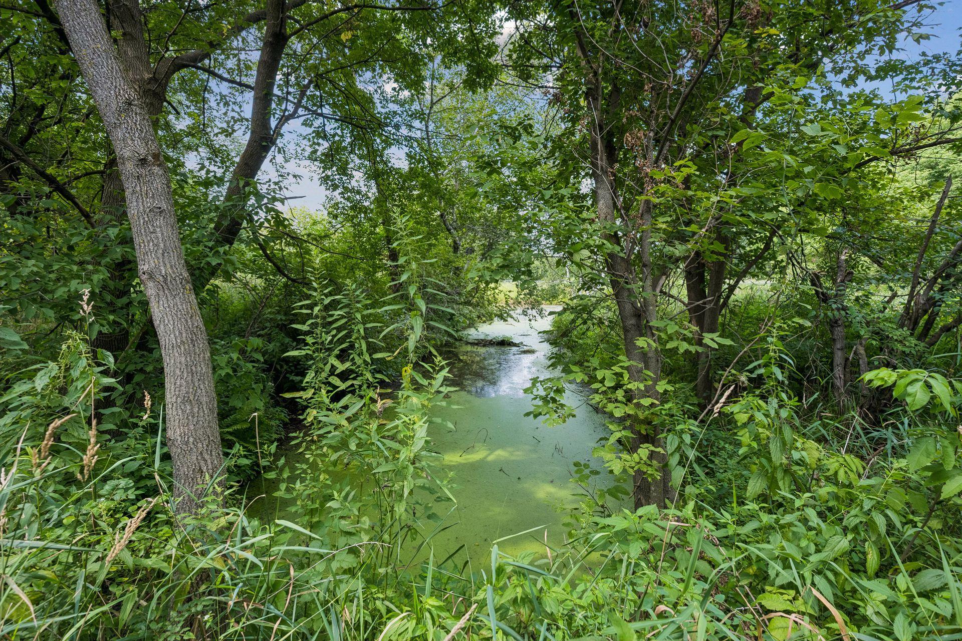 View of Residential at 16425 Petersburg Street, Ham Lake MN 55304, Ham Lake (32 of 37) - Mike Wilen | Minnesota Team Real Estate