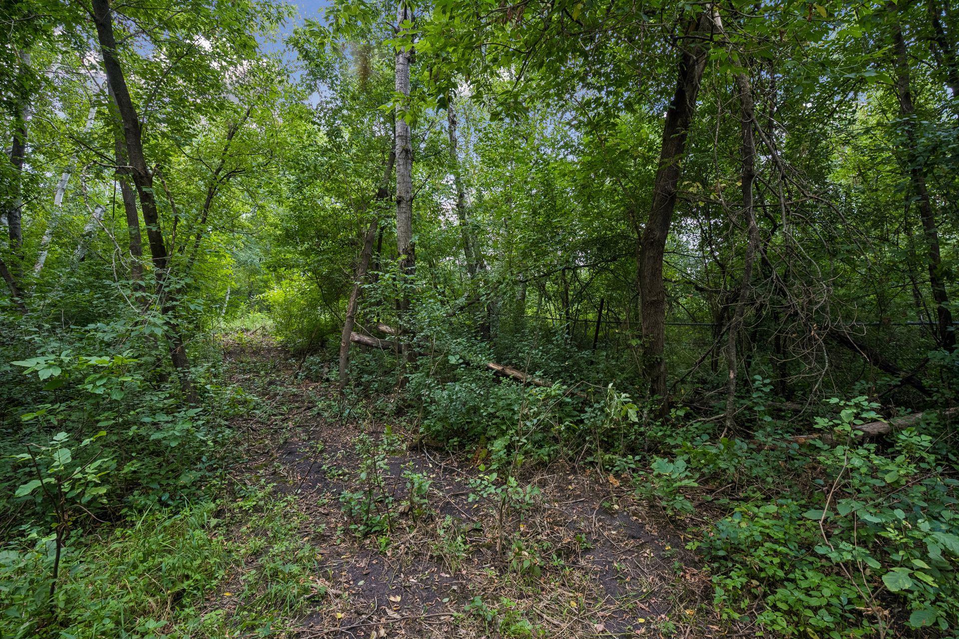 View of Residential at 16425 Petersburg Street, Ham Lake MN 55304, Ham Lake (31 of 37) - Mike Wilen | Minnesota Team Real Estate