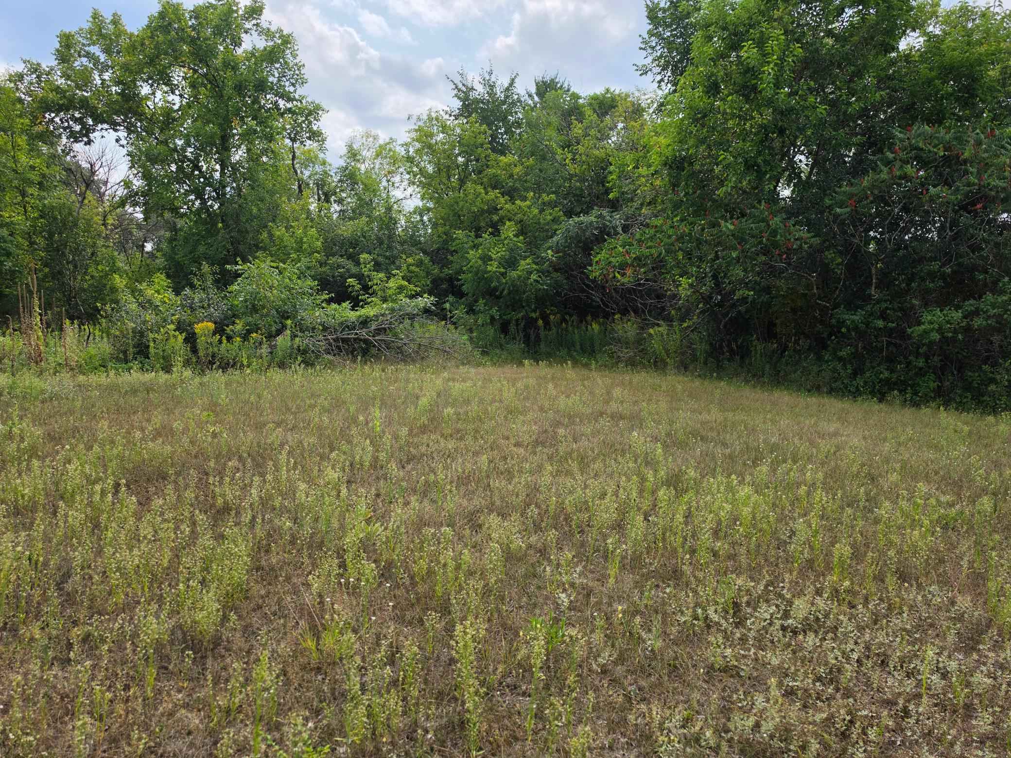 View of Land at 41278 Oak Street, North Branch MN 55056, North Branch (4 of 4) - Mike Wilen | Minnesota Team Real Estate