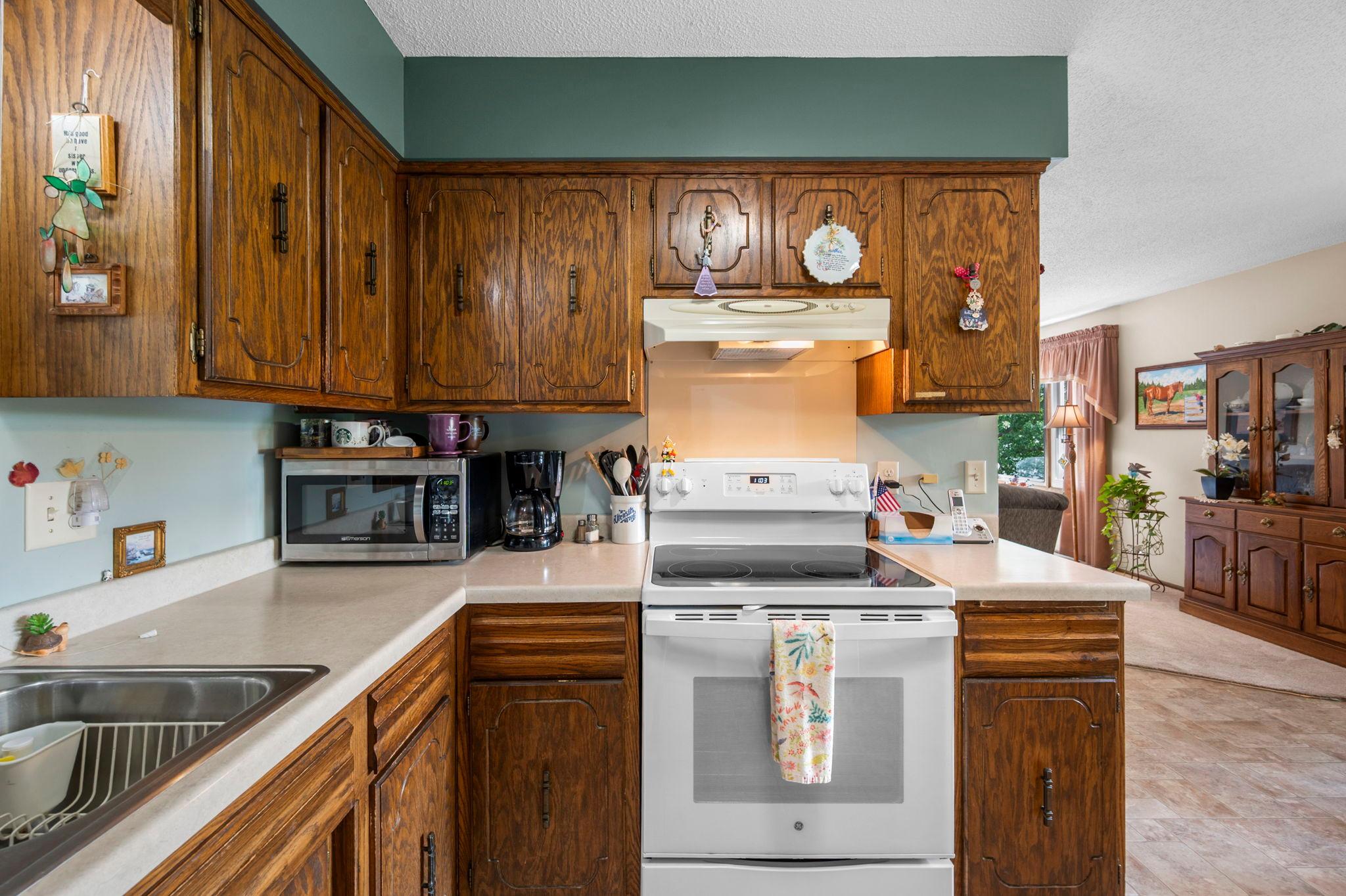 View of Residential at 23785 170th Street, Big Lake MN 55309, Big Lake (25 of 48) - Mike Wilen | Minnesota Team Real Estate