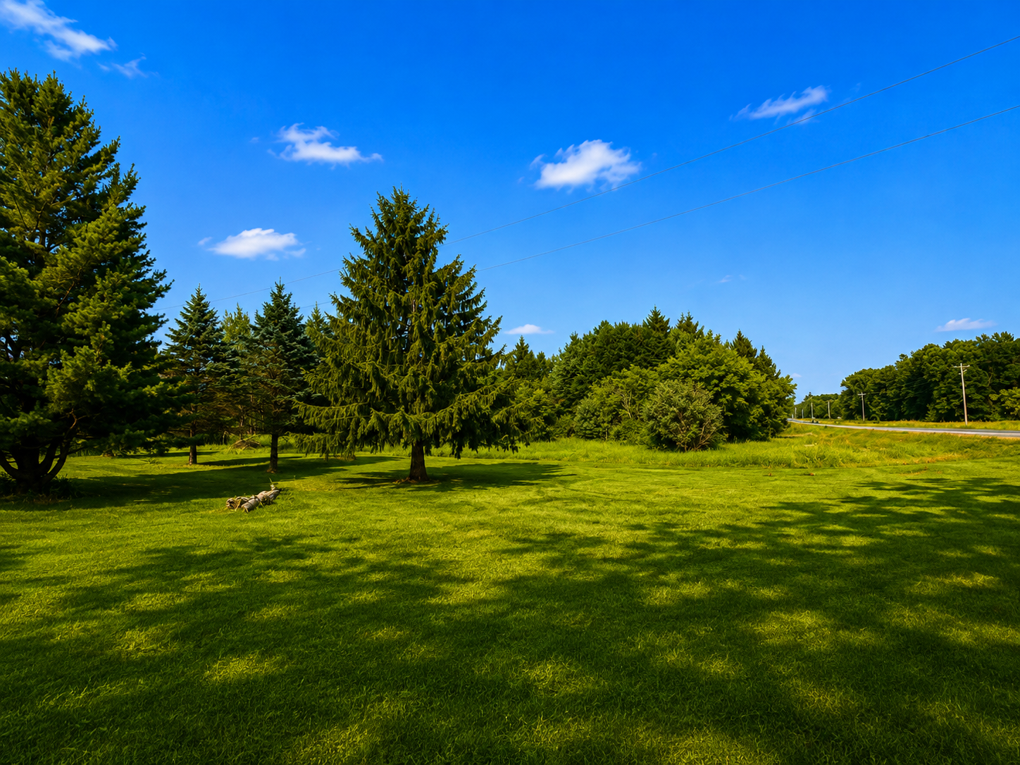 View of Residential at 8996 Saint Croix Trail, North Branch MN 55056, North Branch (12 of 19) - Mike Wilen | Minnesota Team Real Estate