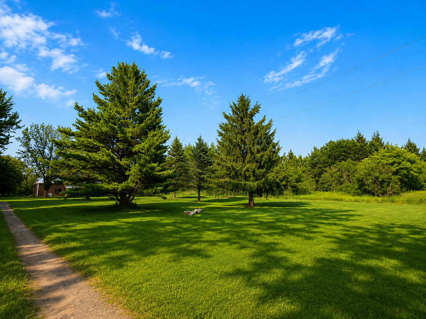 View of Residential at 8996 Saint Croix Trail, North Branch MN 55056, North Branch (9 of 19) - Mike Wilen | Minnesota Team Real Estate