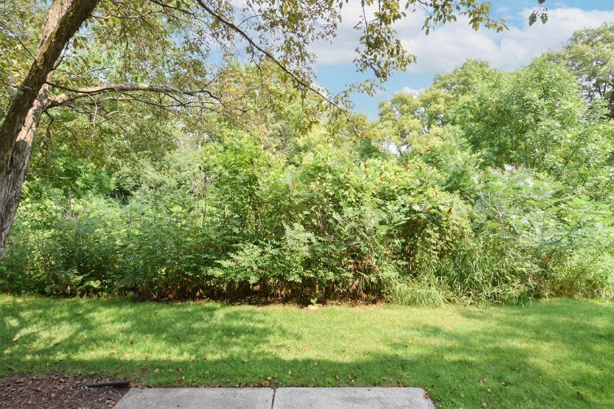 View of Residential at 9000 Comstock Lane, Maple Grove MN 55311, Maple Grove (4 of 29) - Mike Wilen | Minnesota Team Real Estate