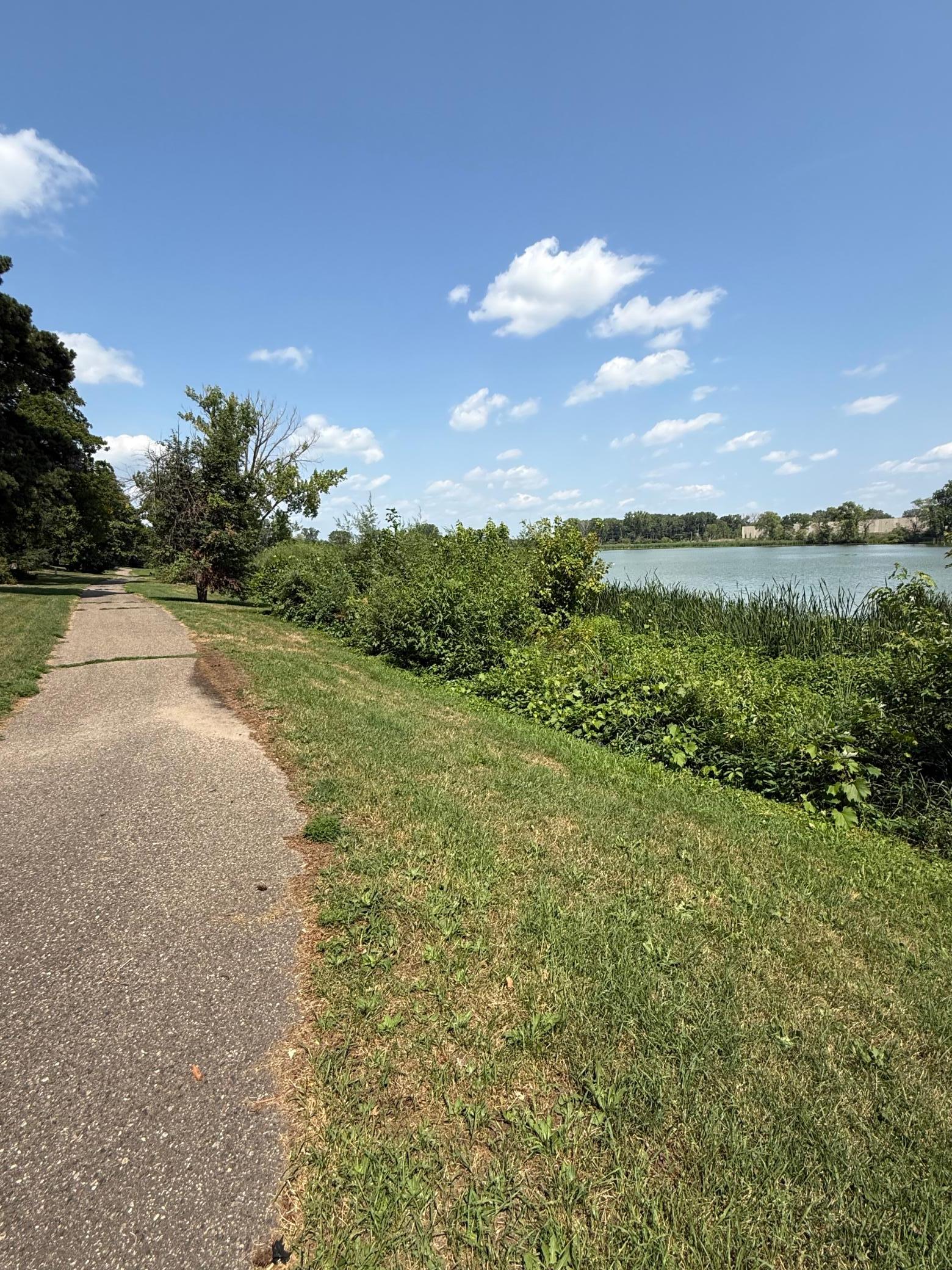 View of Residential at 5201 49th Avenue, Crystal MN 55429, Crystal (55 of 63) - Mike Wilen | Minnesota Team Real Estate