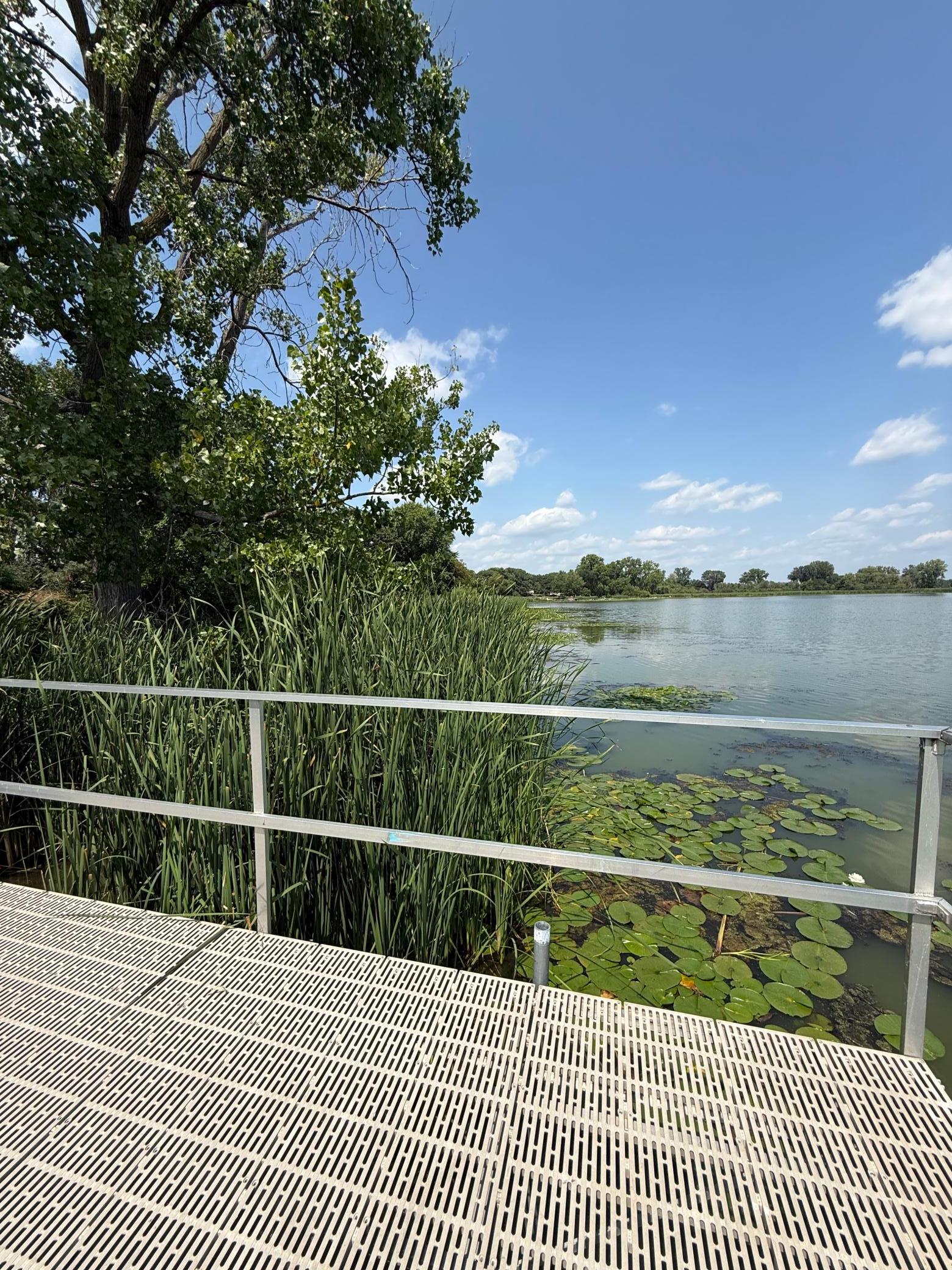 View of Residential at 5201 49th Avenue, Crystal MN 55429, Crystal (60 of 63) - Mike Wilen | Minnesota Team Real Estate