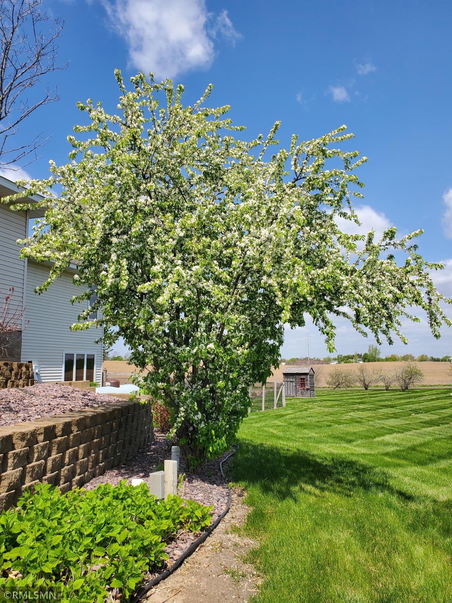 View of Residential at 21280 93rd Avenue, Corcoran MN 55340, Corcoran (7 of 25) - Mike Wilen | Minnesota Team Real Estate