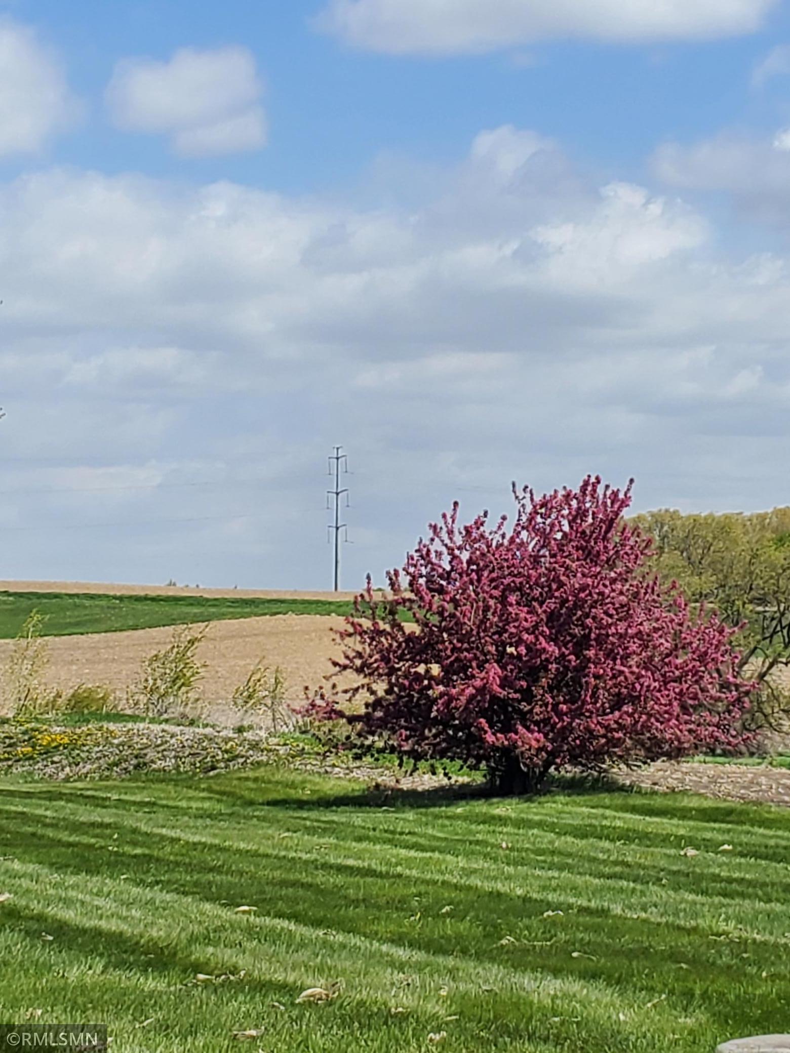 View of Residential at 21280 93rd Avenue, Corcoran MN 55340, Corcoran (6 of 25) - Mike Wilen | Minnesota Team Real Estate