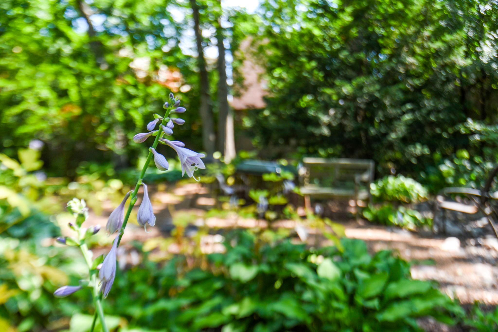View of Residential at 4541 Meadow Road, Edina MN 55424, Edina (60 of 75) - Mike Wilen | Minnesota Team Real Estate