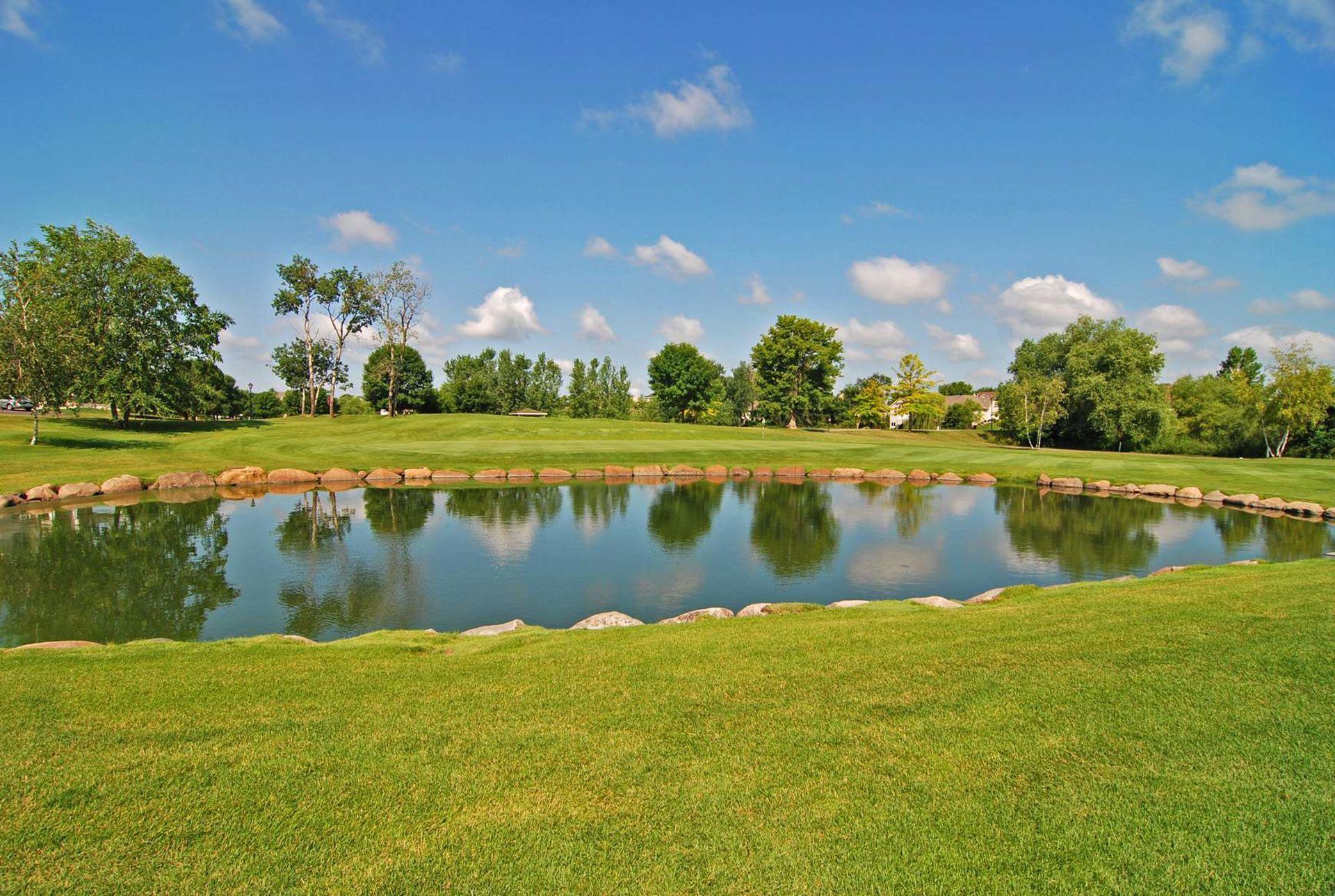 View of Residential at 9122 Fox Court, Victoria MN 55386, Victoria (63 of 71) - Mike Wilen | Minnesota Team Real Estate