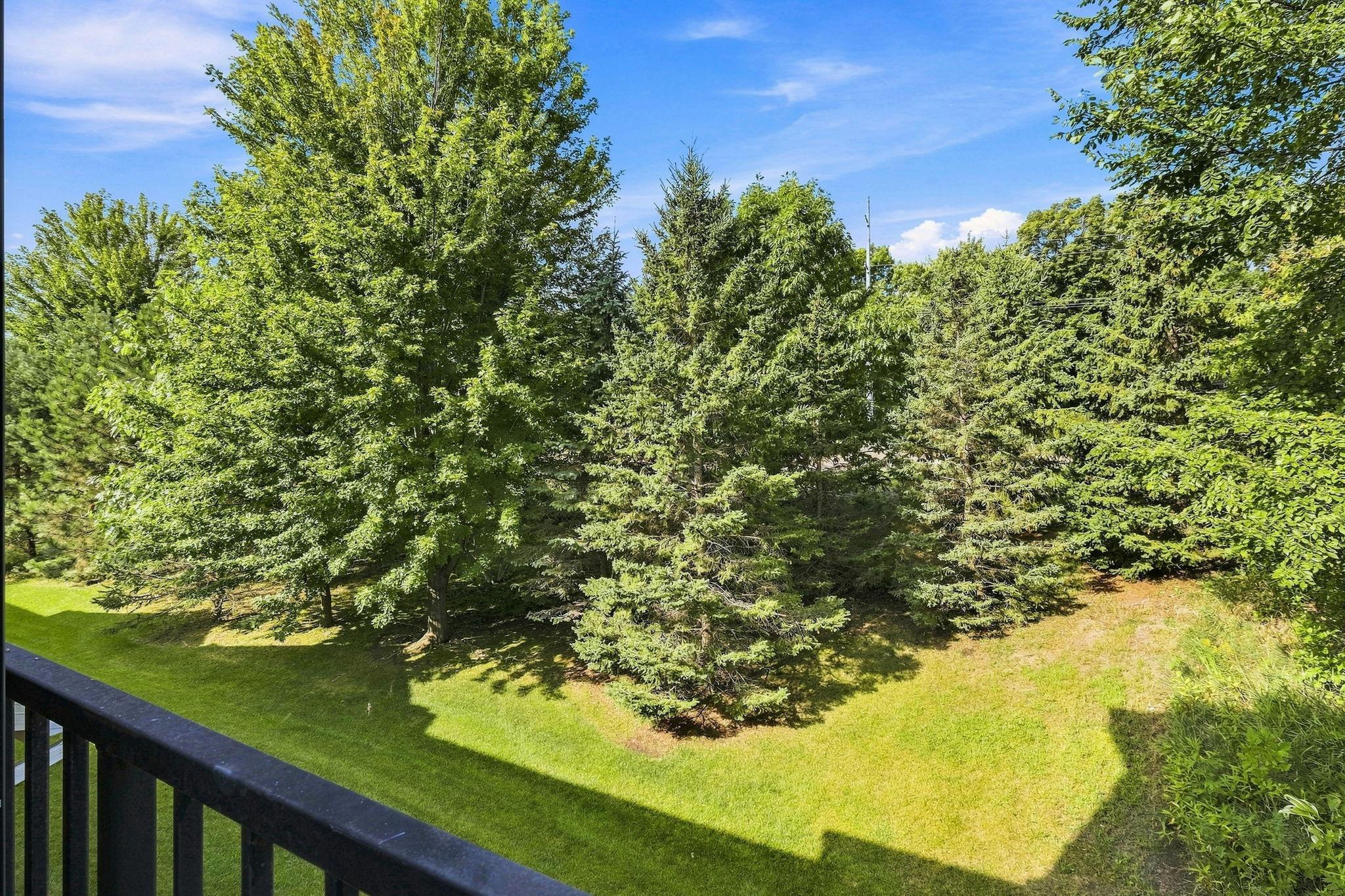 View of Residential at 675 Sienna Drive, Watertown MN 55388, Watertown (32 of 42) - Mike Wilen | Minnesota Team Real Estate
