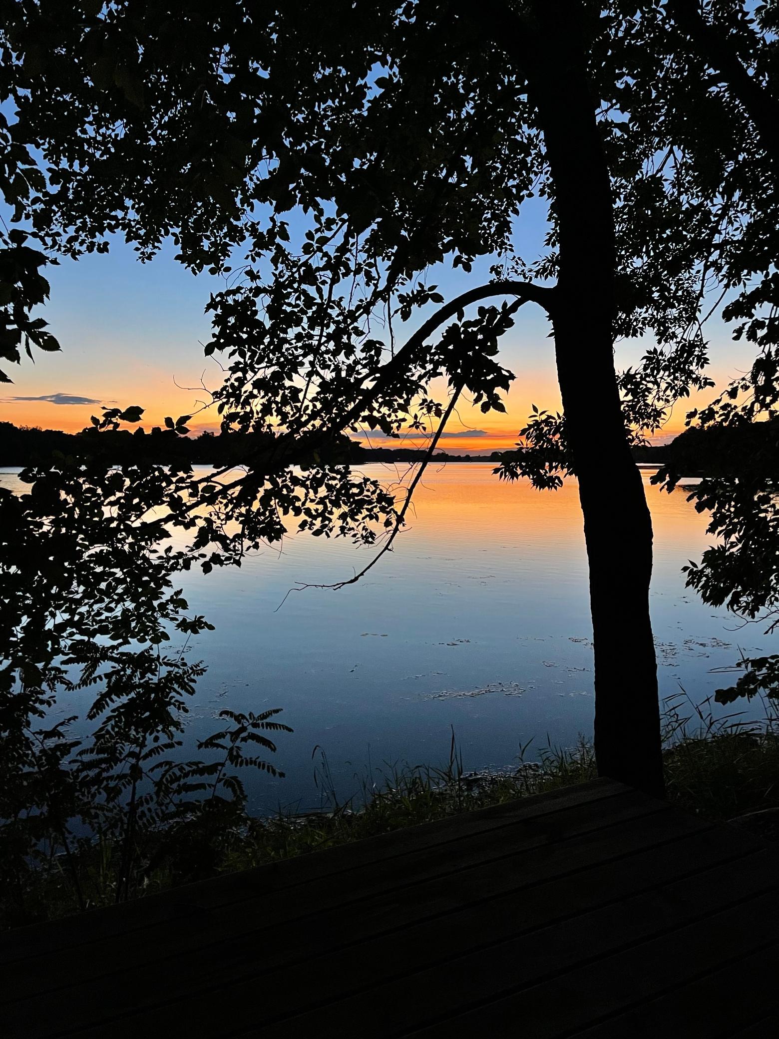 View of Land at 5125 Fern Drive, Loretto MN 55357, Loretto (21 of 23) - Mike Wilen | Minnesota Team Real Estate