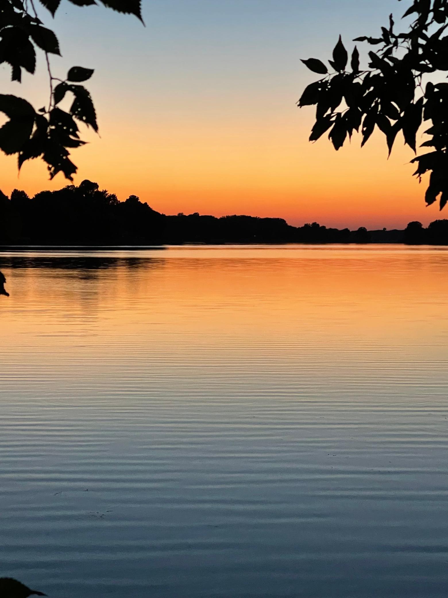 View of Land at 5125 Fern Drive, Loretto MN 55357, Loretto (3 of 23) - Mike Wilen | Minnesota Team Real Estate