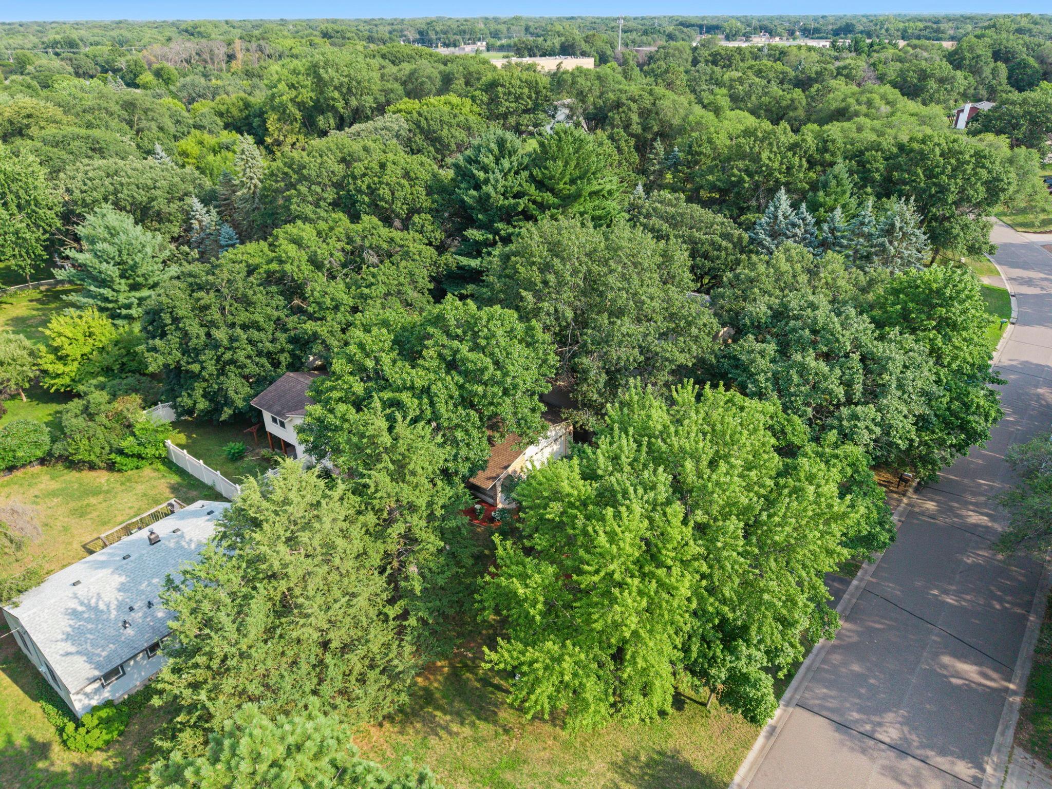 View of Residential at 11547 Flintwood Street, Coon Rapids MN 55448, Coon Rapids (56 of 65) - Mike Wilen | Minnesota Team Real Estate