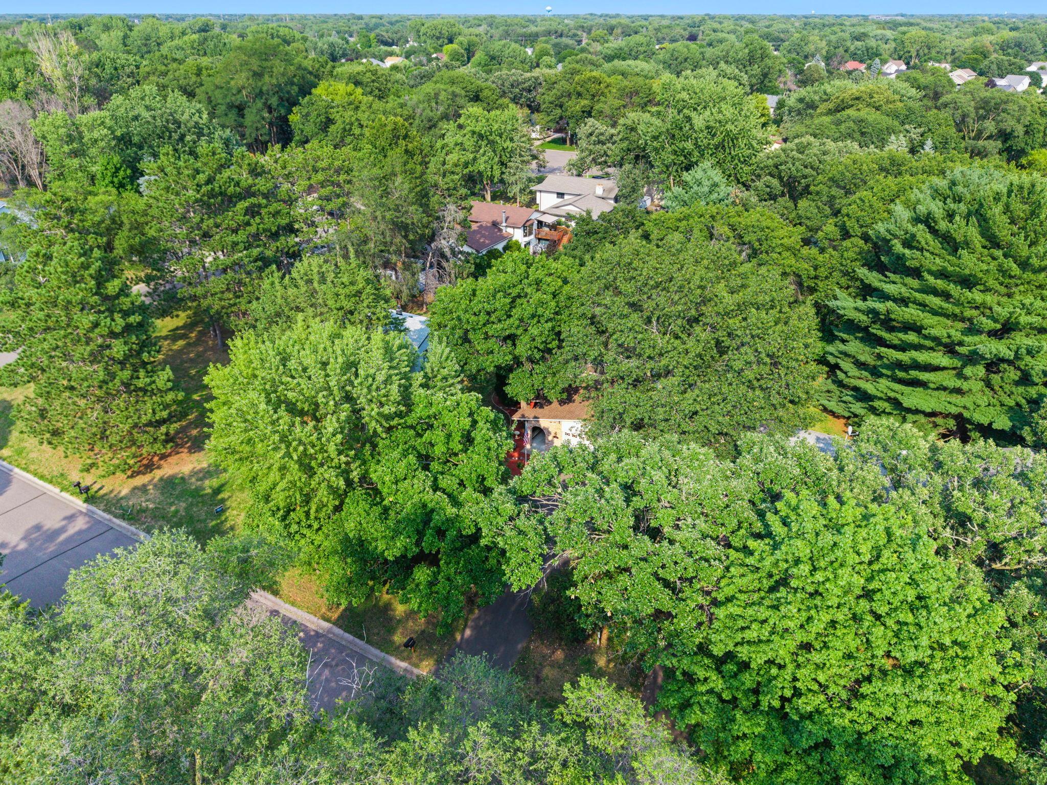 View of Residential at 11547 Flintwood Street, Coon Rapids MN 55448, Coon Rapids (62 of 65) - Mike Wilen | Minnesota Team Real Estate