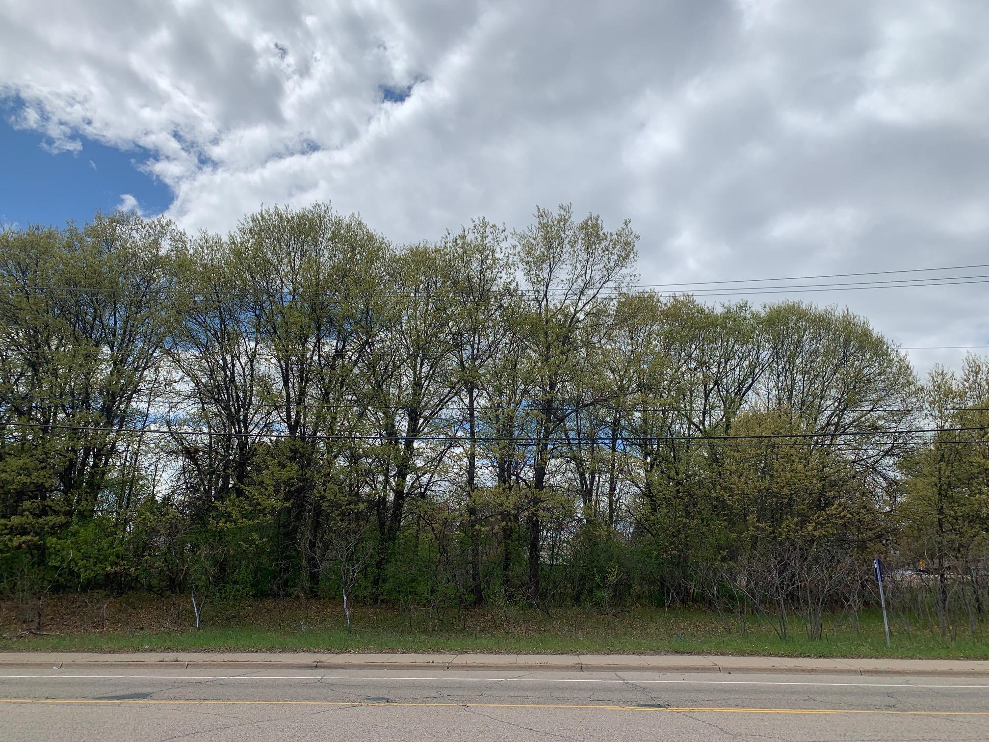 View of Land at 32xx Rice Street, Shoreview MN 55126, Shoreview (11 of 21) - Mike Wilen | Minnesota Team Real Estate