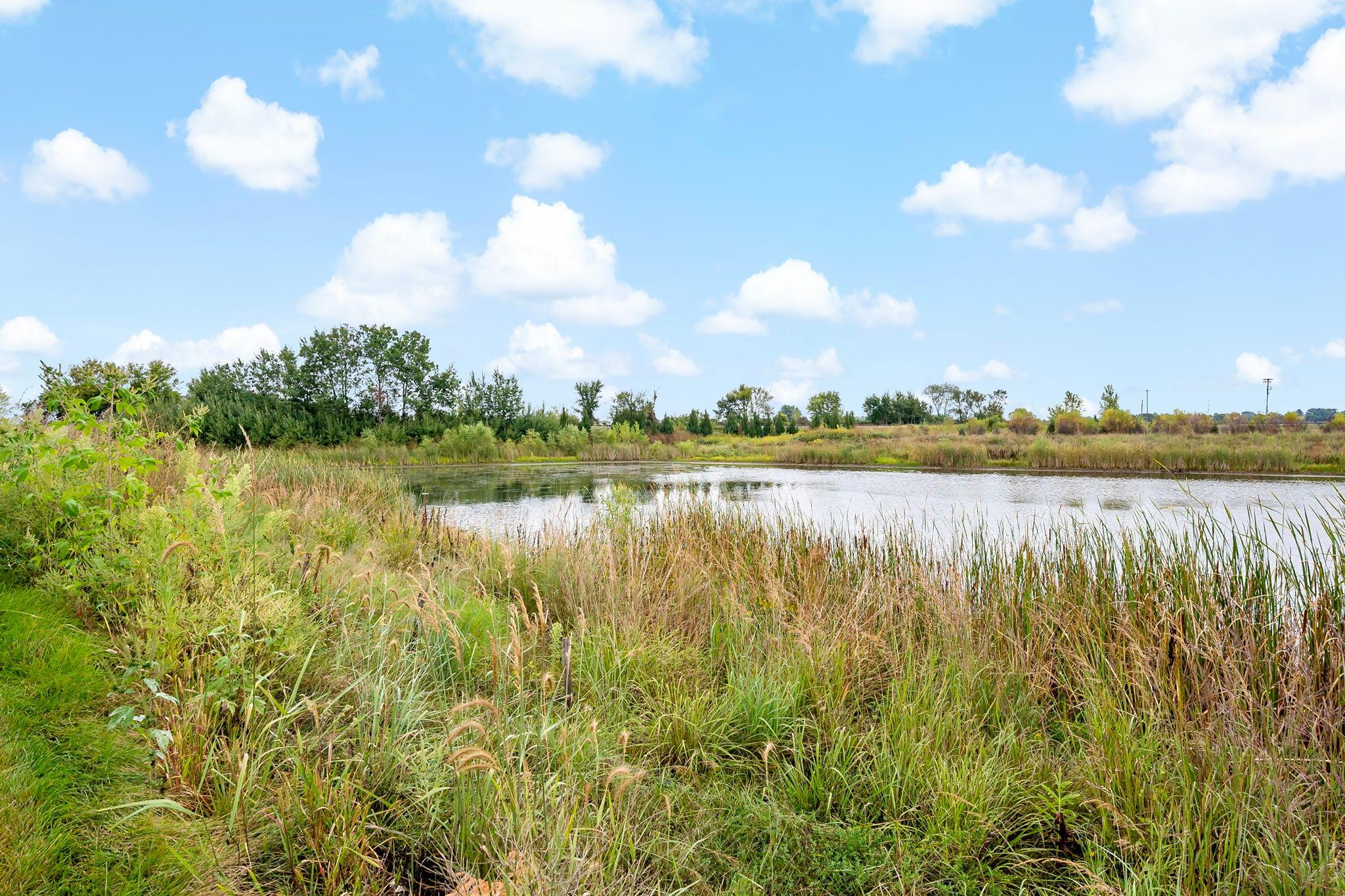 View of Residential at 3299 Linden Avenue Court, Lake Elmo MN 55042, Lake Elmo (65 of 68) - Mike Wilen | Minnesota Team Real Estate