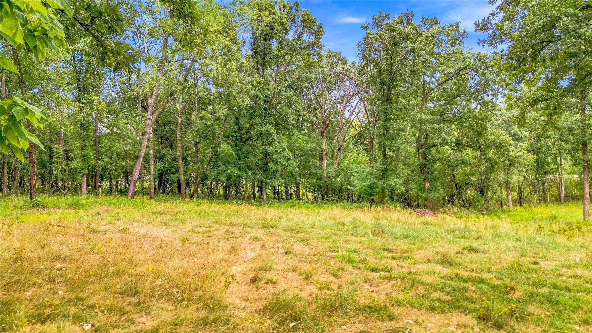 View of Land at tbd Upper 22nd St S, Lakeland MN 55043, Lakeland (31 of 33) - Mike Wilen | Minnesota Team Real Estate