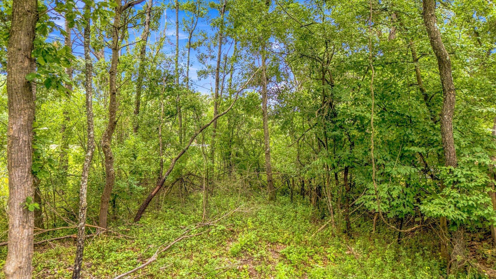 View of Land at tbd Upper 22nd St S, Lakeland MN 55043, Lakeland (27 of 33) - Mike Wilen | Minnesota Team Real Estate