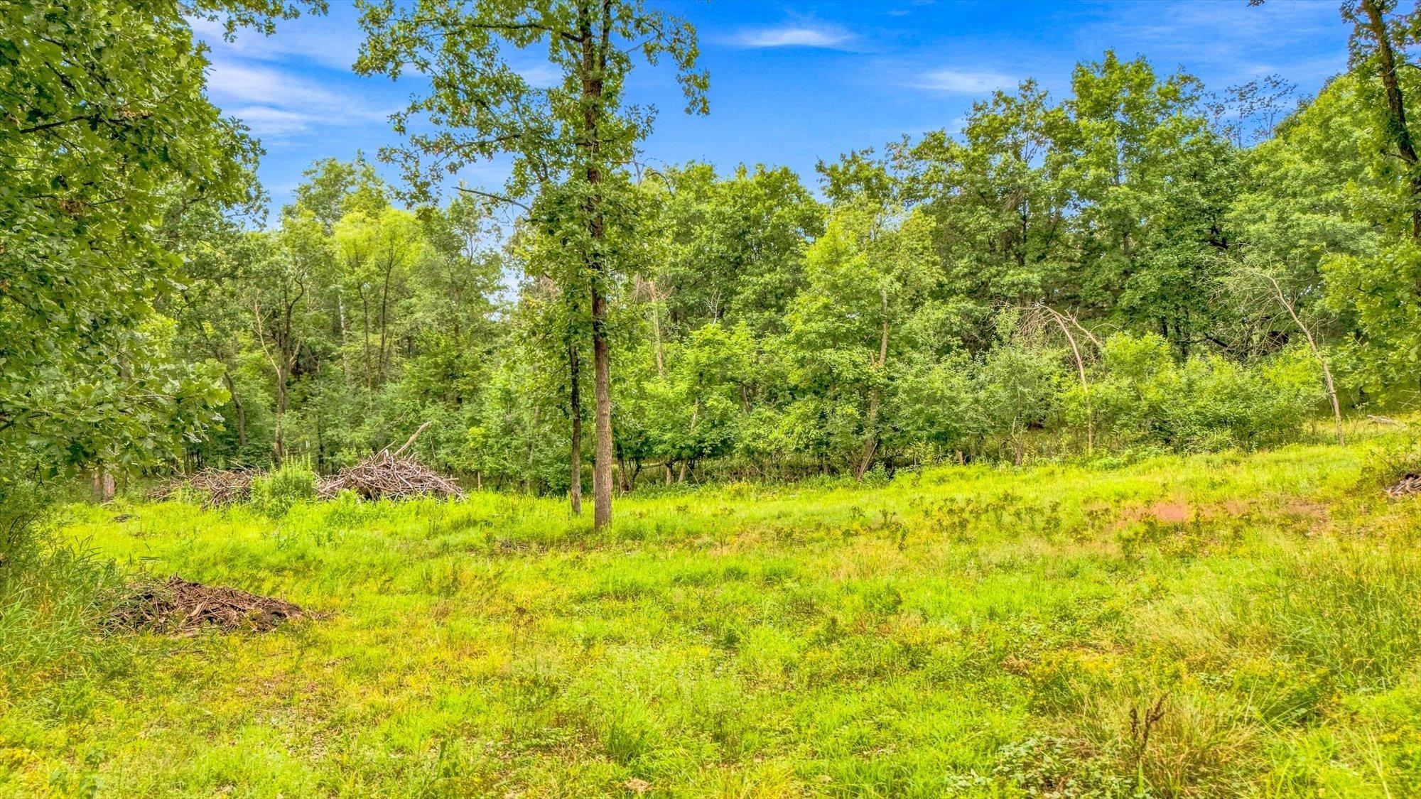 View of Land at tbd Upper 22nd St S, Lakeland MN 55043, Lakeland (25 of 33) - Mike Wilen | Minnesota Team Real Estate