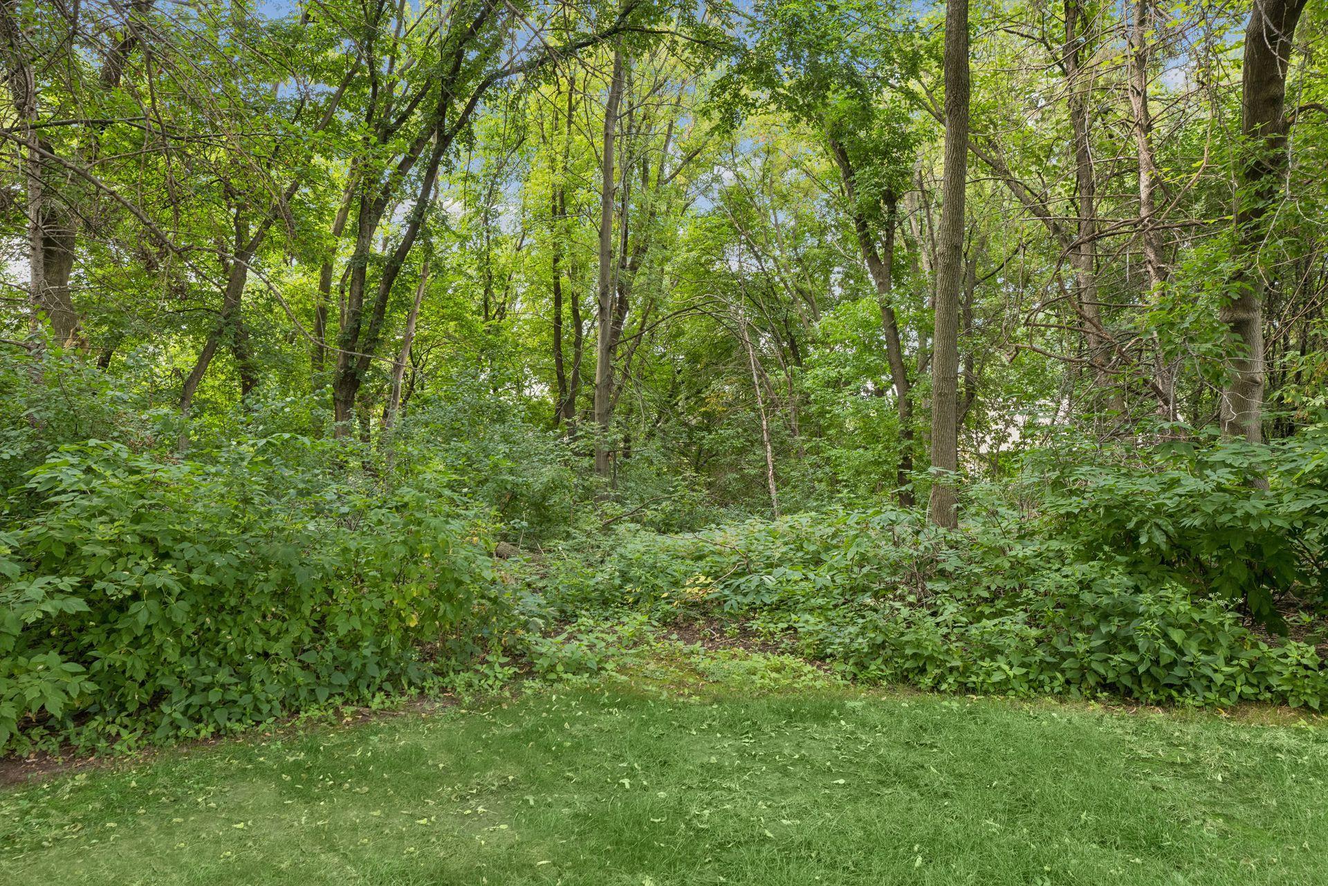 View of Residential at 1355 Medora Road, Mendota Heights MN 55118, Mendota Heights (47 of 57) - Mike Wilen | Minnesota Team Real Estate
