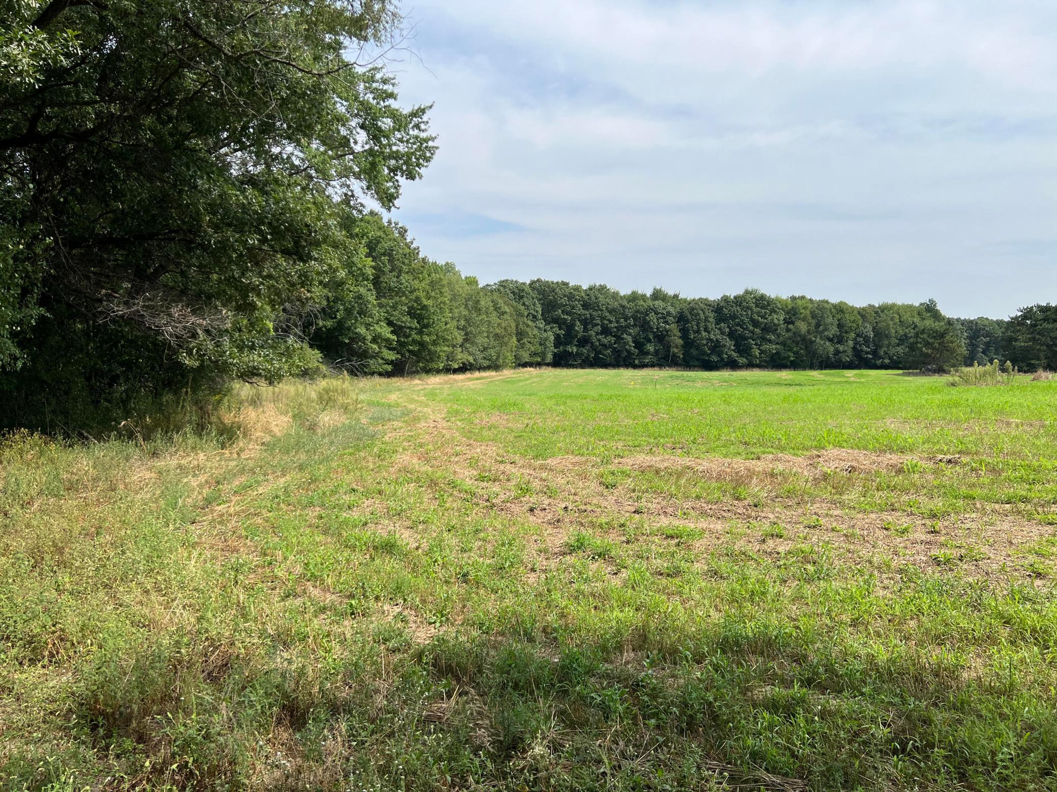 View of Land at TBD Elmcrest Avenue, Stacy MN 55079, Stacy (5 of 23) - Mike Wilen | Minnesota Team Real Estate