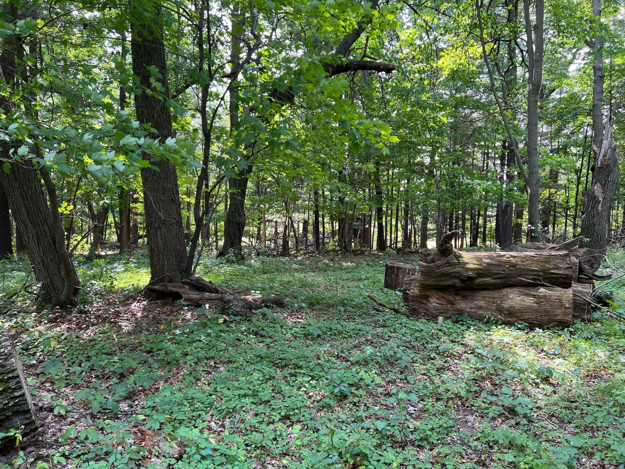 View of Land at TBD Elmcrest Avenue, Stacy MN 55079, Stacy (2 of 23) - Mike Wilen | Minnesota Team Real Estate