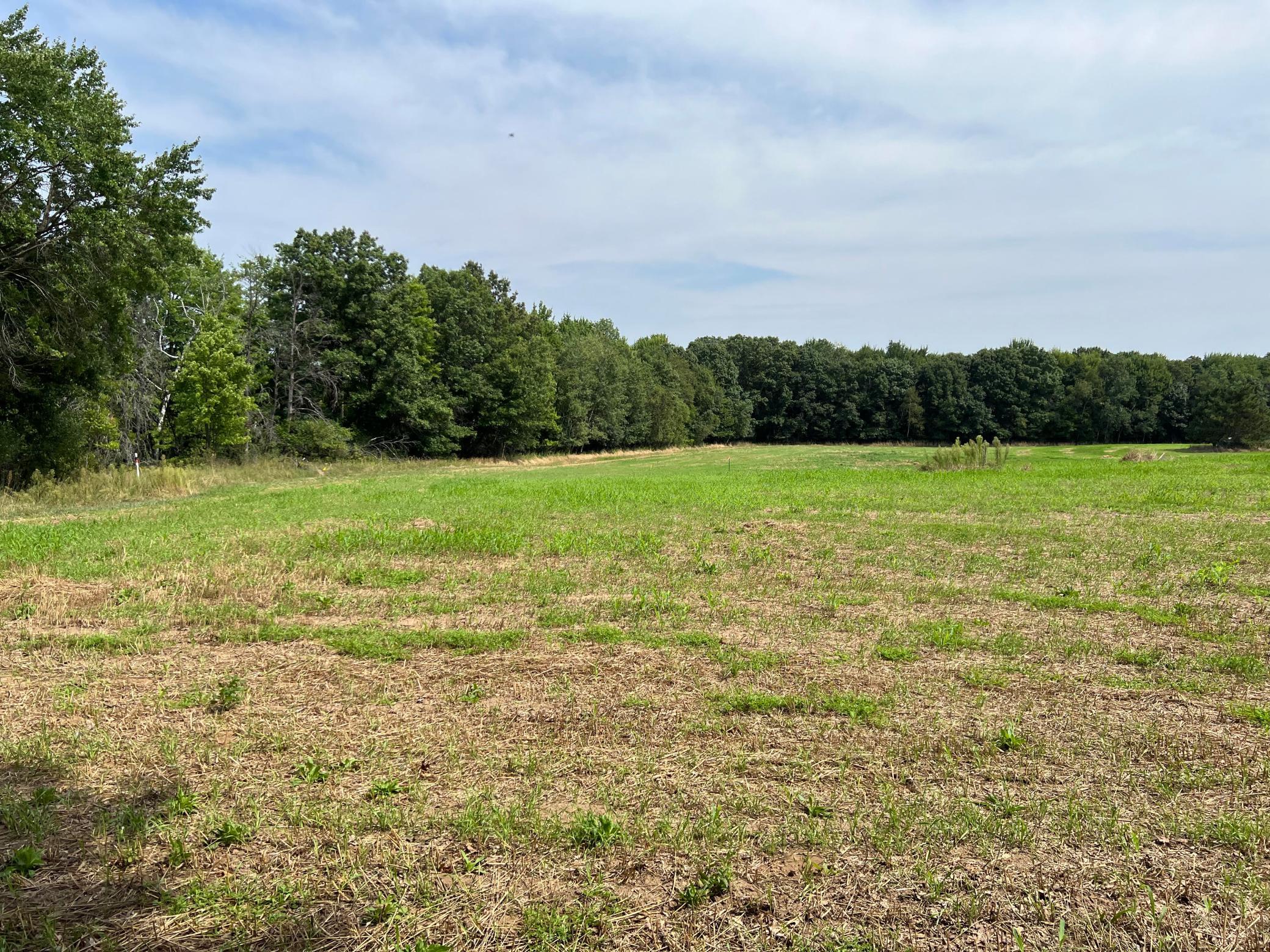 View of Land at TBD Elmcrest Avenue, Stacy MN 55079, Stacy (14 of 23) - Mike Wilen | Minnesota Team Real Estate