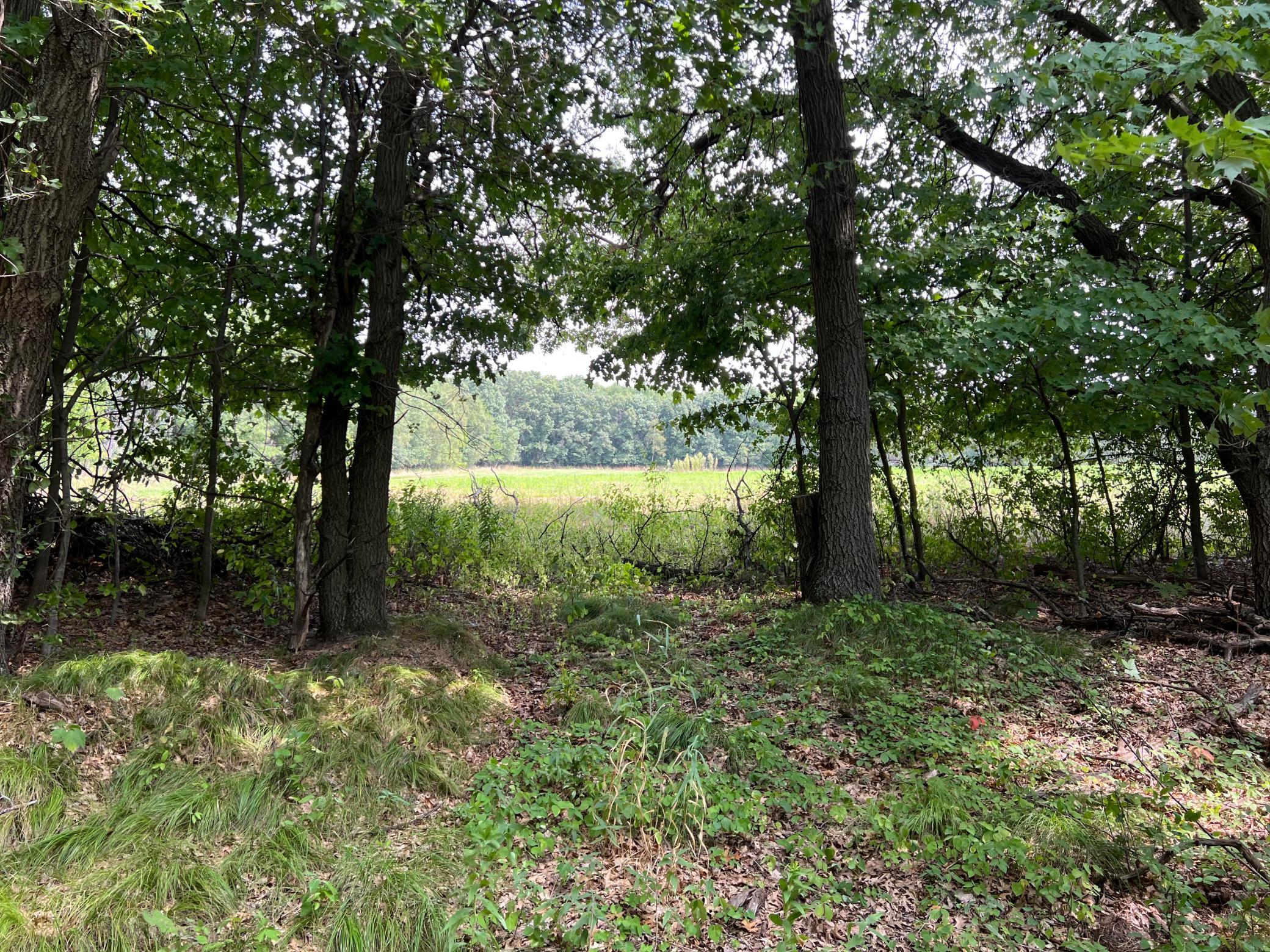 View of Land at TBD Elmcrest Avenue, Stacy MN 55079, Stacy (11 of 23) - Mike Wilen | Minnesota Team Real Estate