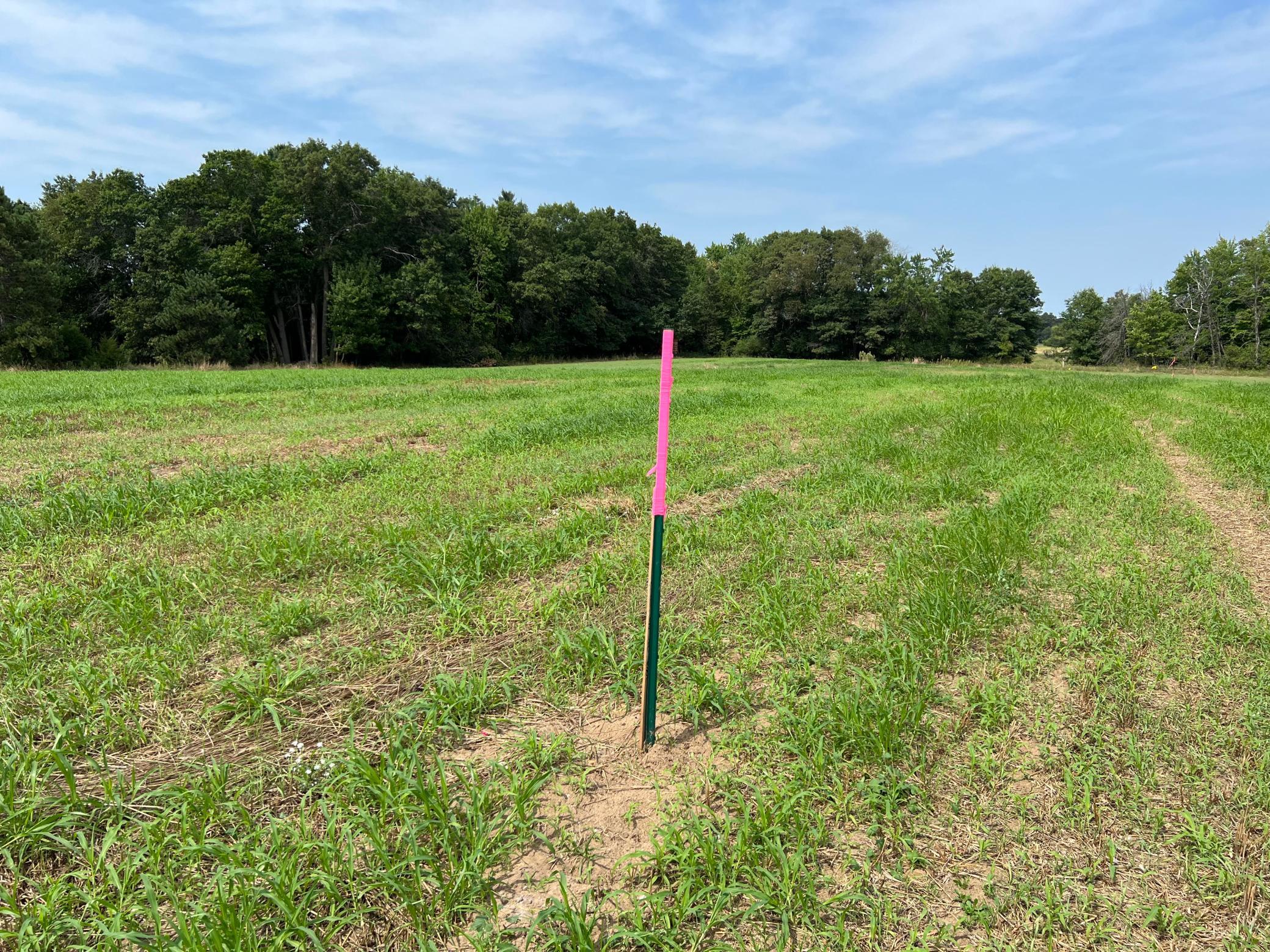 View of Land at TBD Elmcrest Avenue, Stacy MN 55079, Stacy (16 of 23) - Mike Wilen | Minnesota Team Real Estate