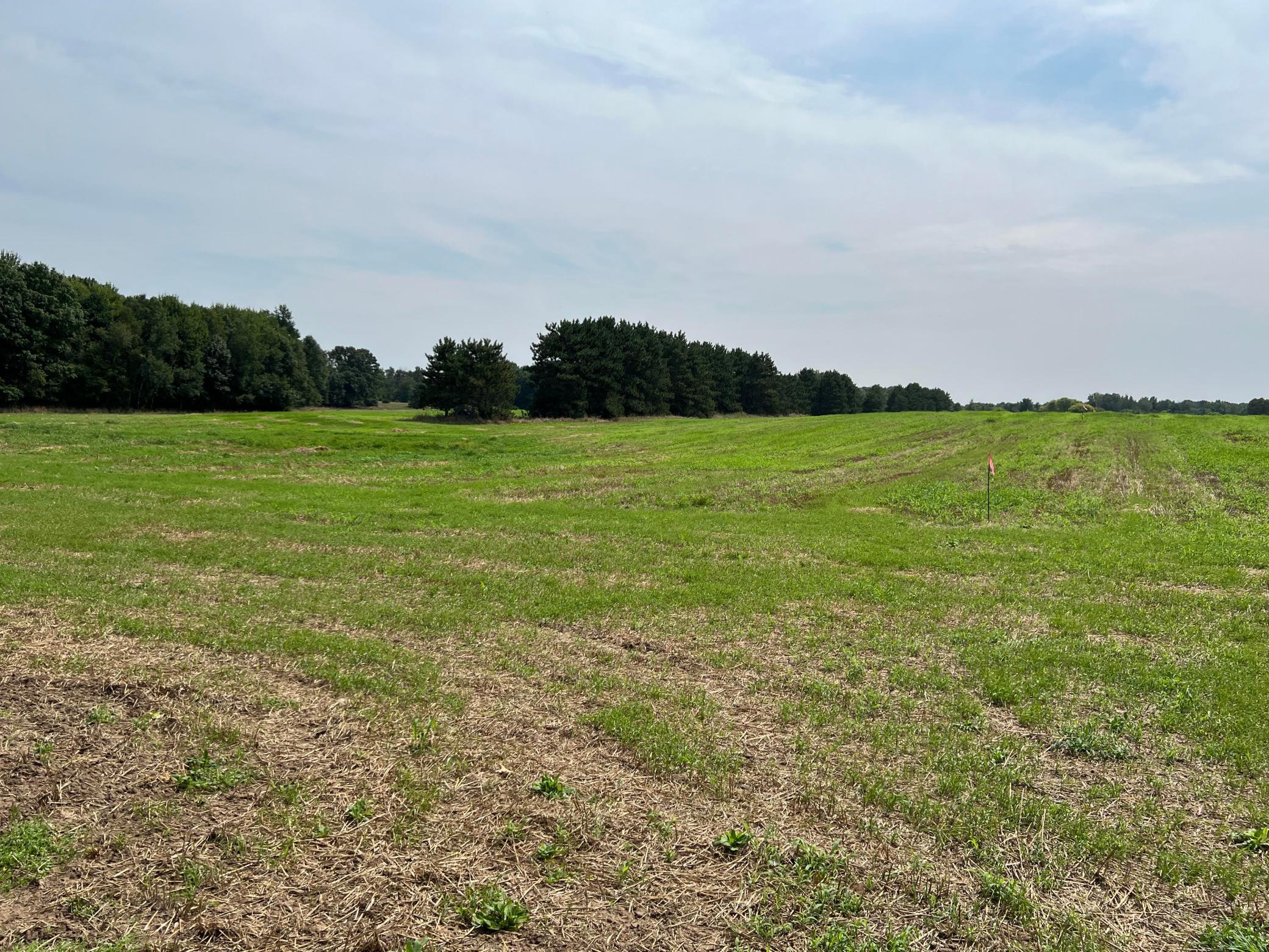 View of Land at TBD Elmcrest Avenue, Stacy MN 55079, Stacy (21 of 23) - Mike Wilen | Minnesota Team Real Estate