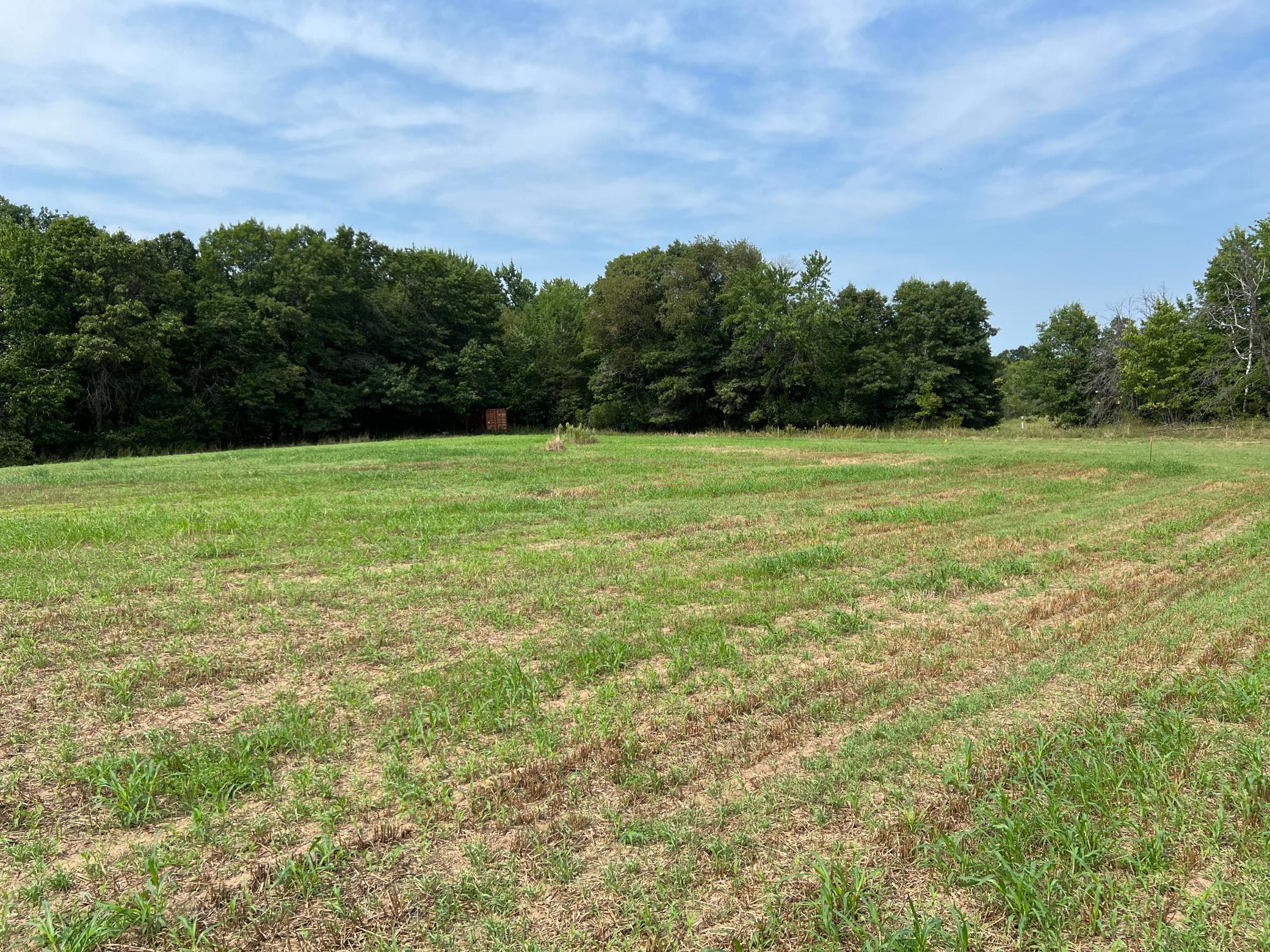 View of Land at TBD Elmcrest Avenue, Stacy MN 55079, Stacy (3 of 23) - Mike Wilen | Minnesota Team Real Estate