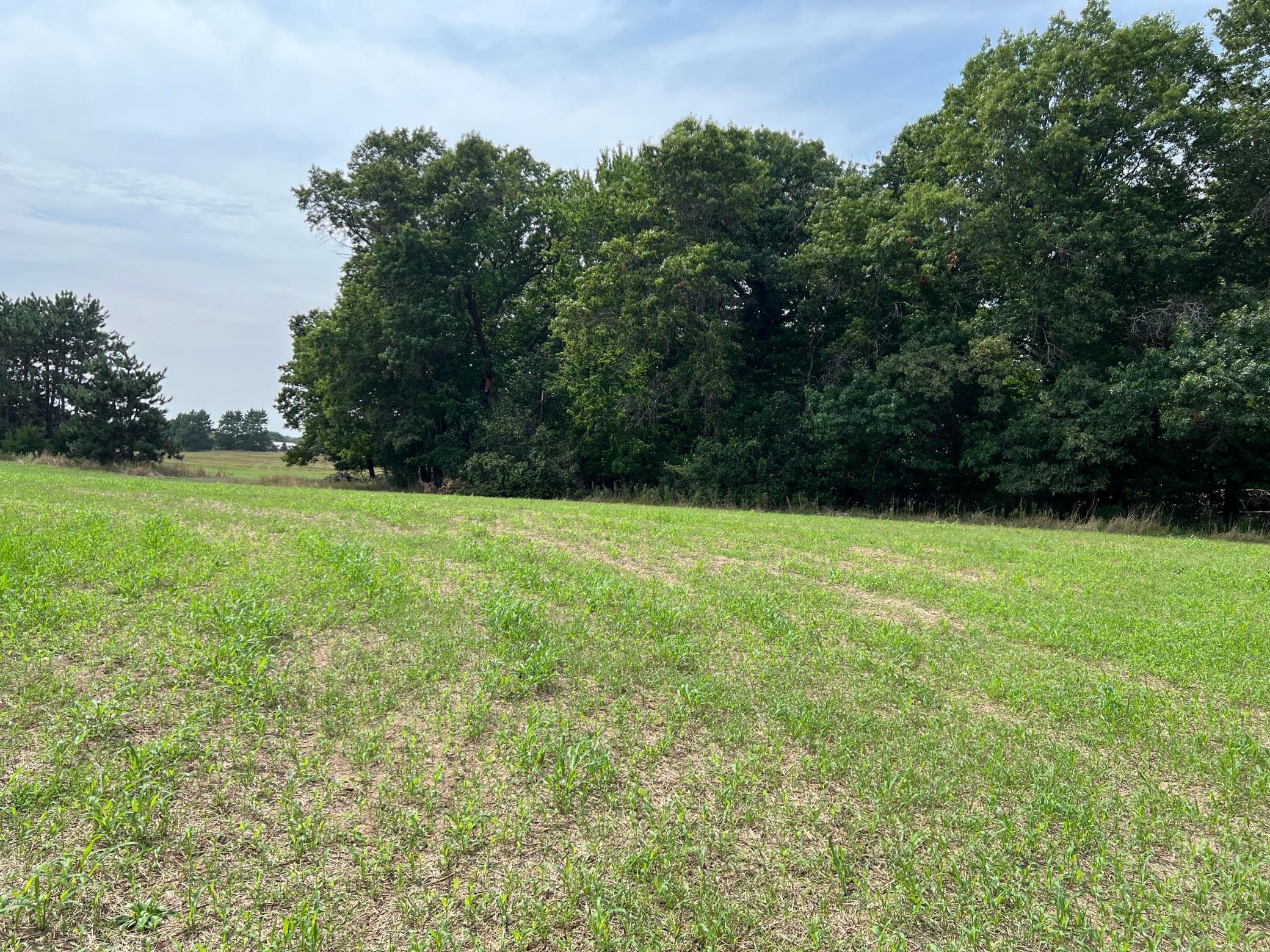 View of Land at XXXX Elmcrest Avenue, Stacy MN 55079, Stacy (8 of 23) - Mike Wilen | Minnesota Team Real Estate