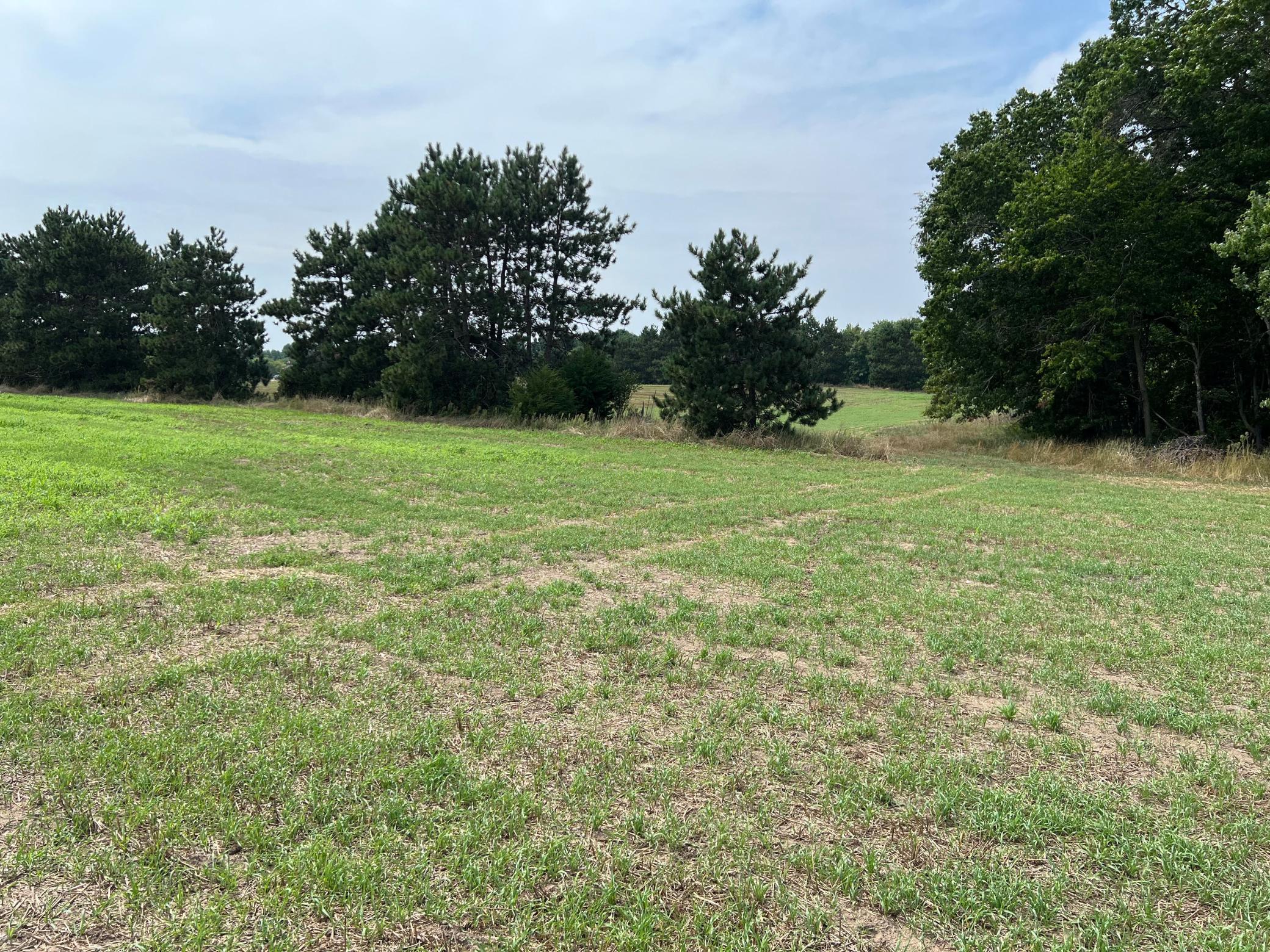 View of Land at XXXX Elmcrest Avenue, Stacy MN 55079, Stacy (20 of 23) - Mike Wilen | Minnesota Team Real Estate