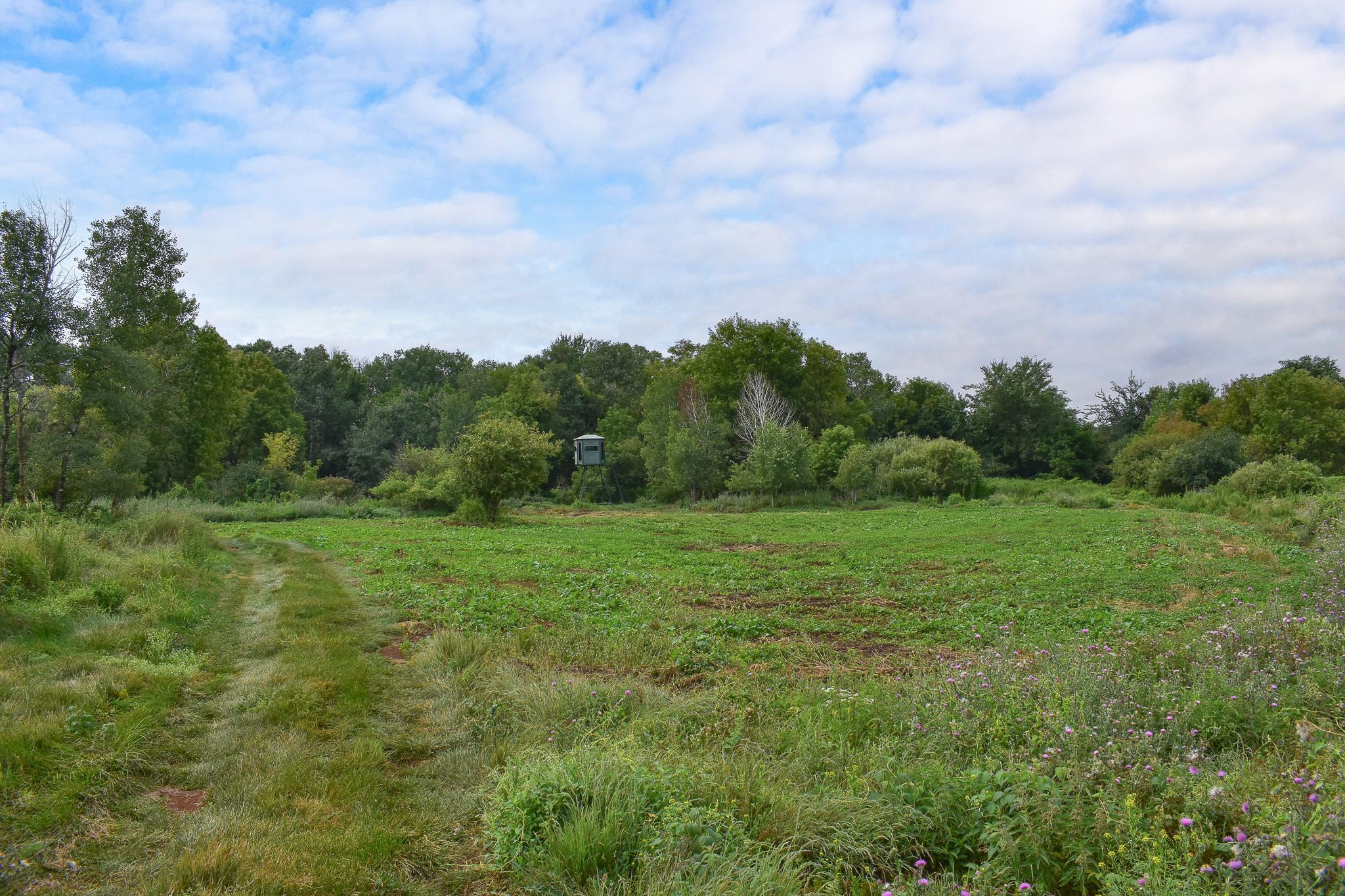 View of Residential at 16602 87th Street, Becker MN 55308, Becker (85 of 88) - Mike Wilen | Minnesota Team Real Estate