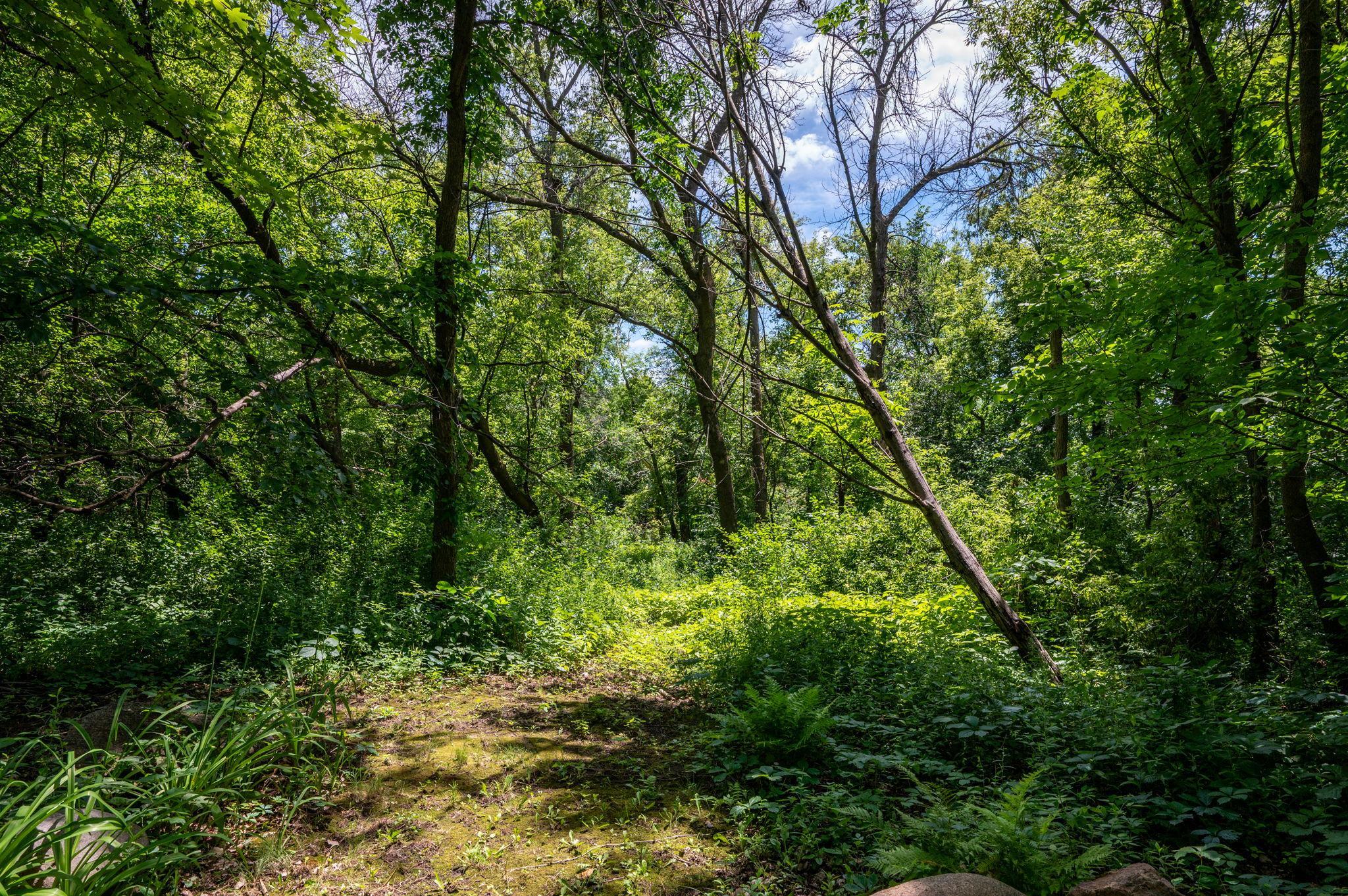 View of Residential at 4749 Lake Sarah Drive, Independence MN 55359, Independence (55 of 77) - Mike Wilen | Minnesota Team Real Estate