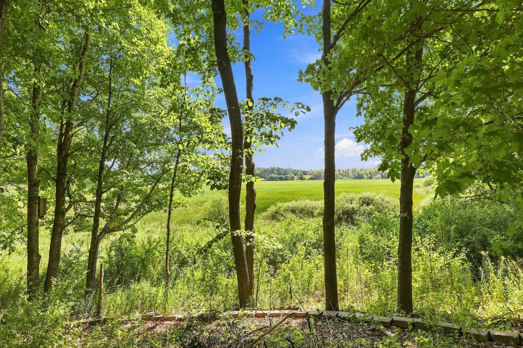 View of Residential at 8005 Turtle Creek Boulevard, Minnetrista MN 55375, Minnetrista (35 of 40) - Mike Wilen | Minnesota Team Real Estate